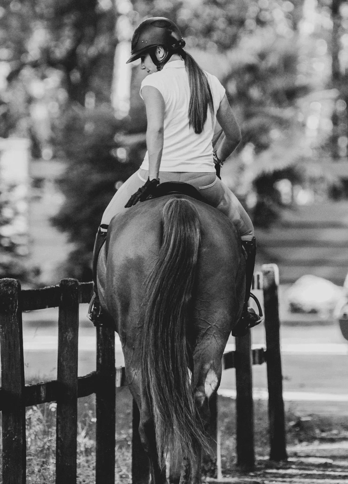 A woman wearing a helmet riding a horse with a long tail, near a wooden fence with trees in the background.