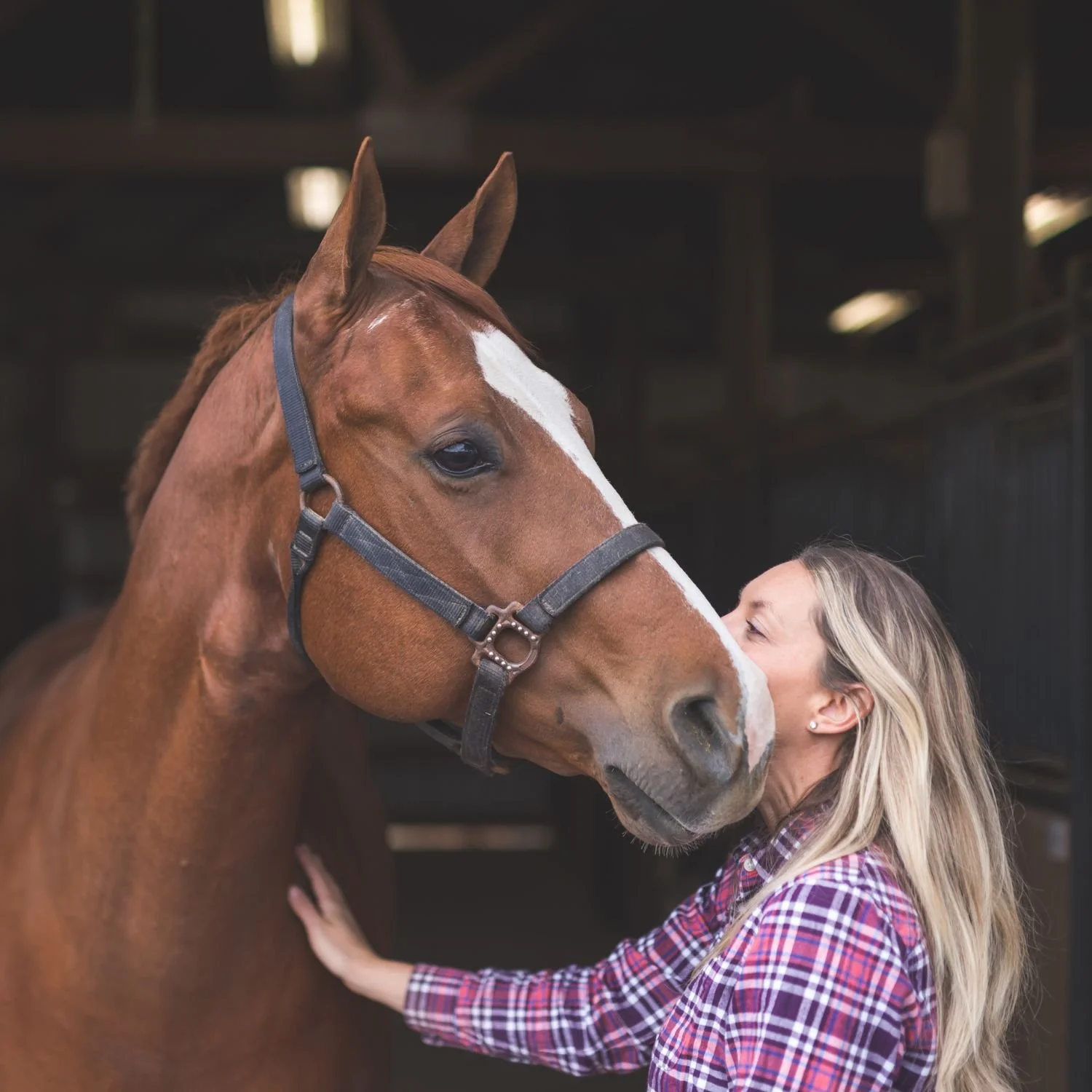 Natalie Equine Friend 2