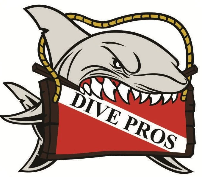 Dive Pros Ltd Co