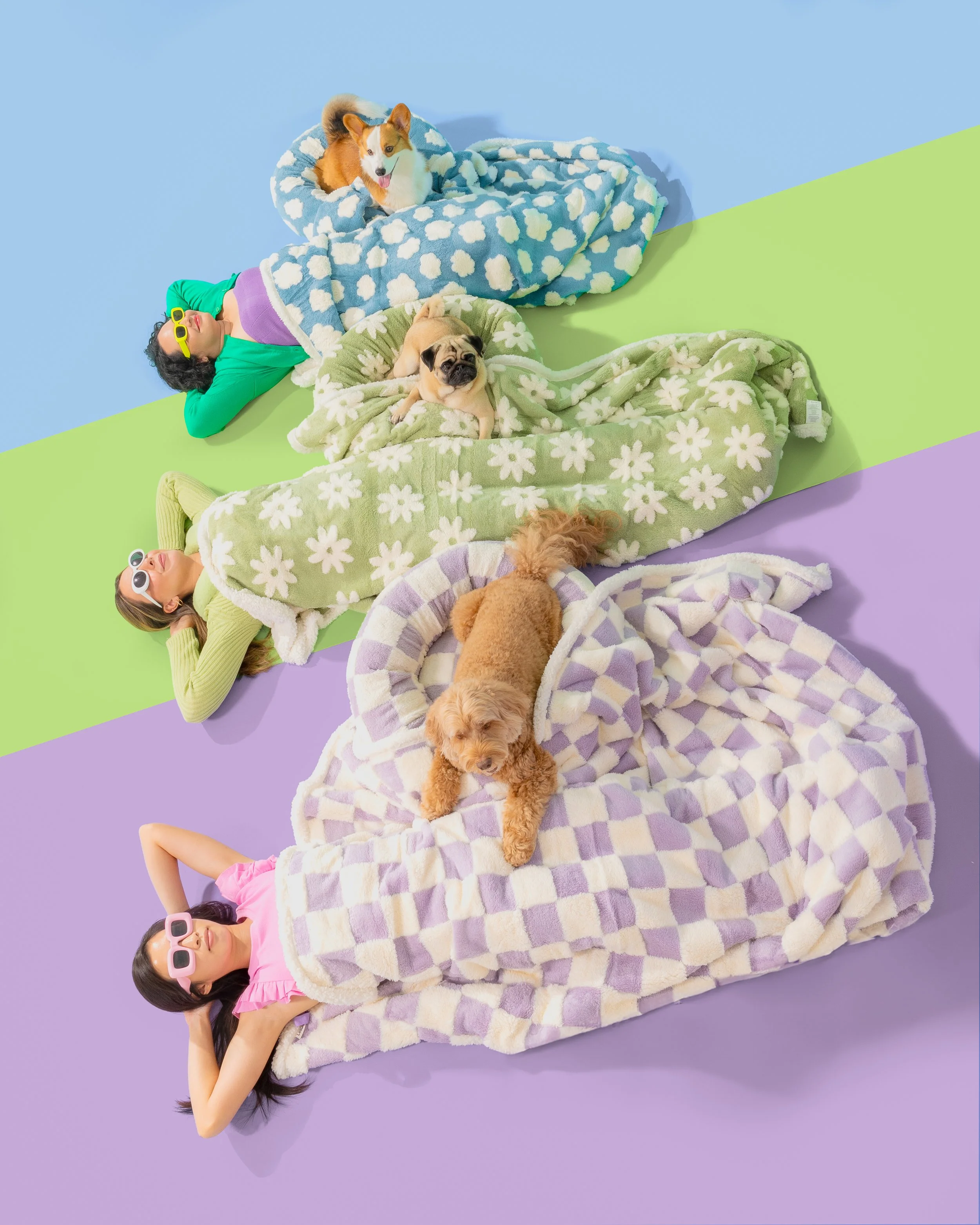 Paws _ Prints_-13.jpg