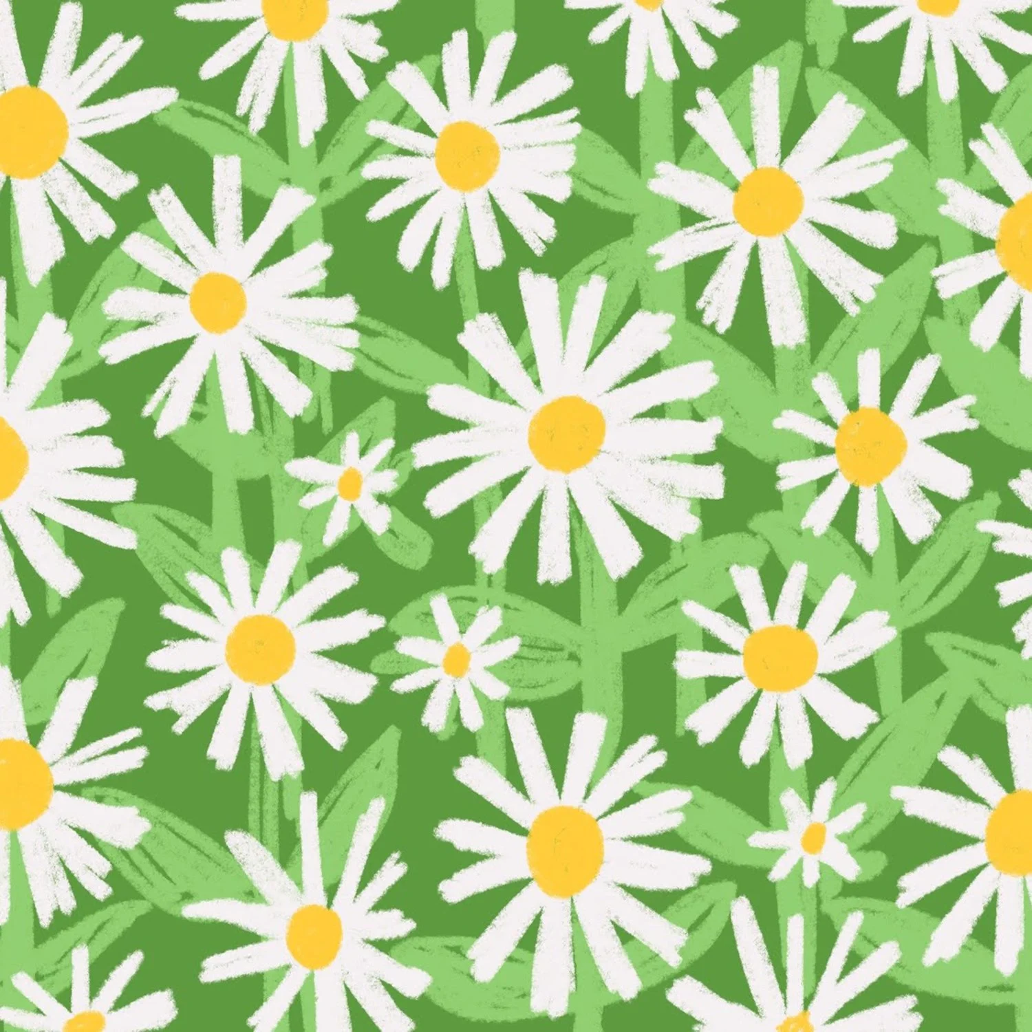Daisies_Square.jpg