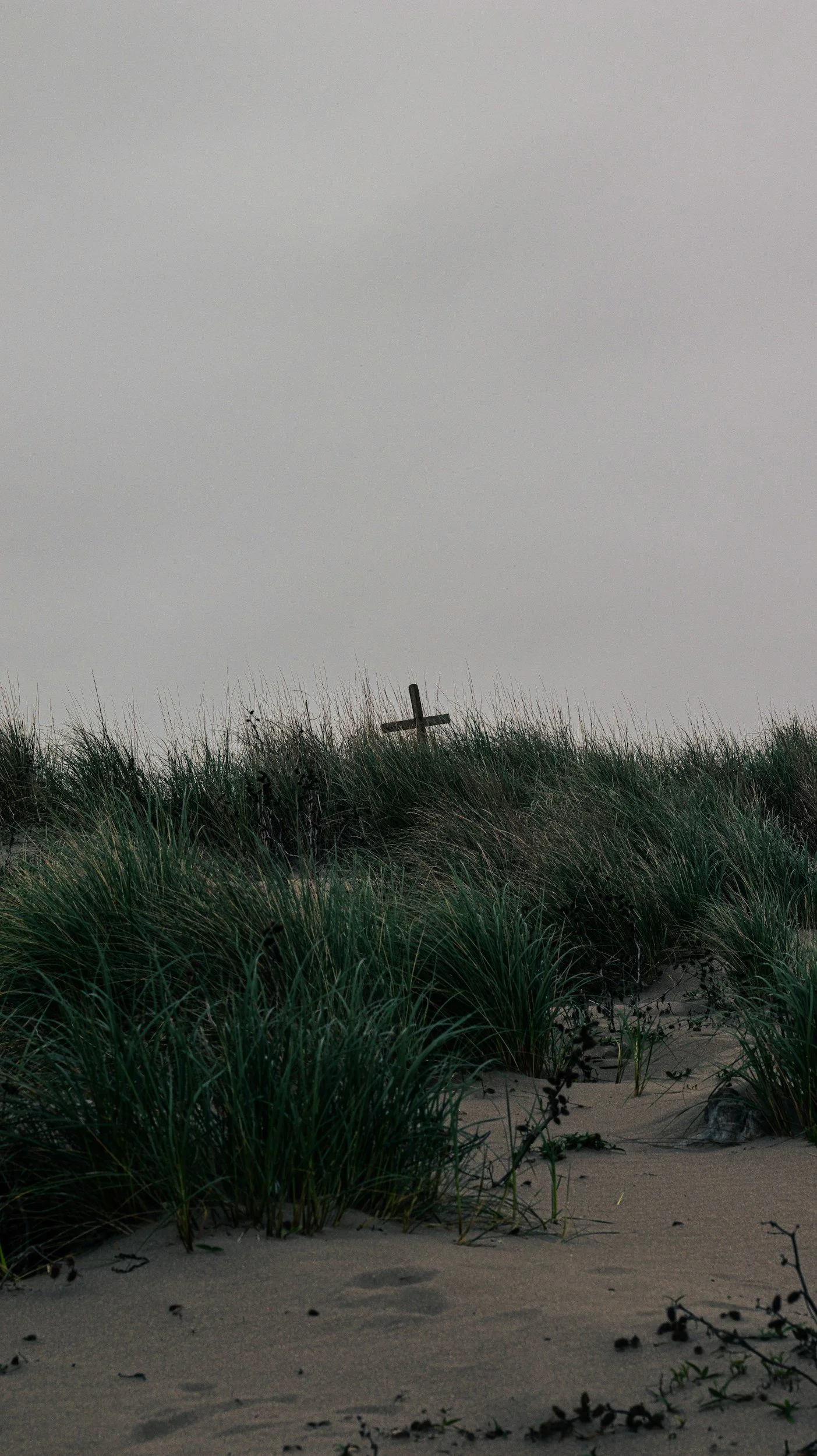 A sandy beach with tall grass, a small animal, and a cross in the distance on a cloudy day.