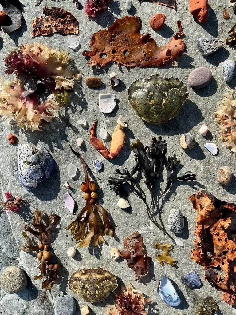 Assemblage Performance, 2026