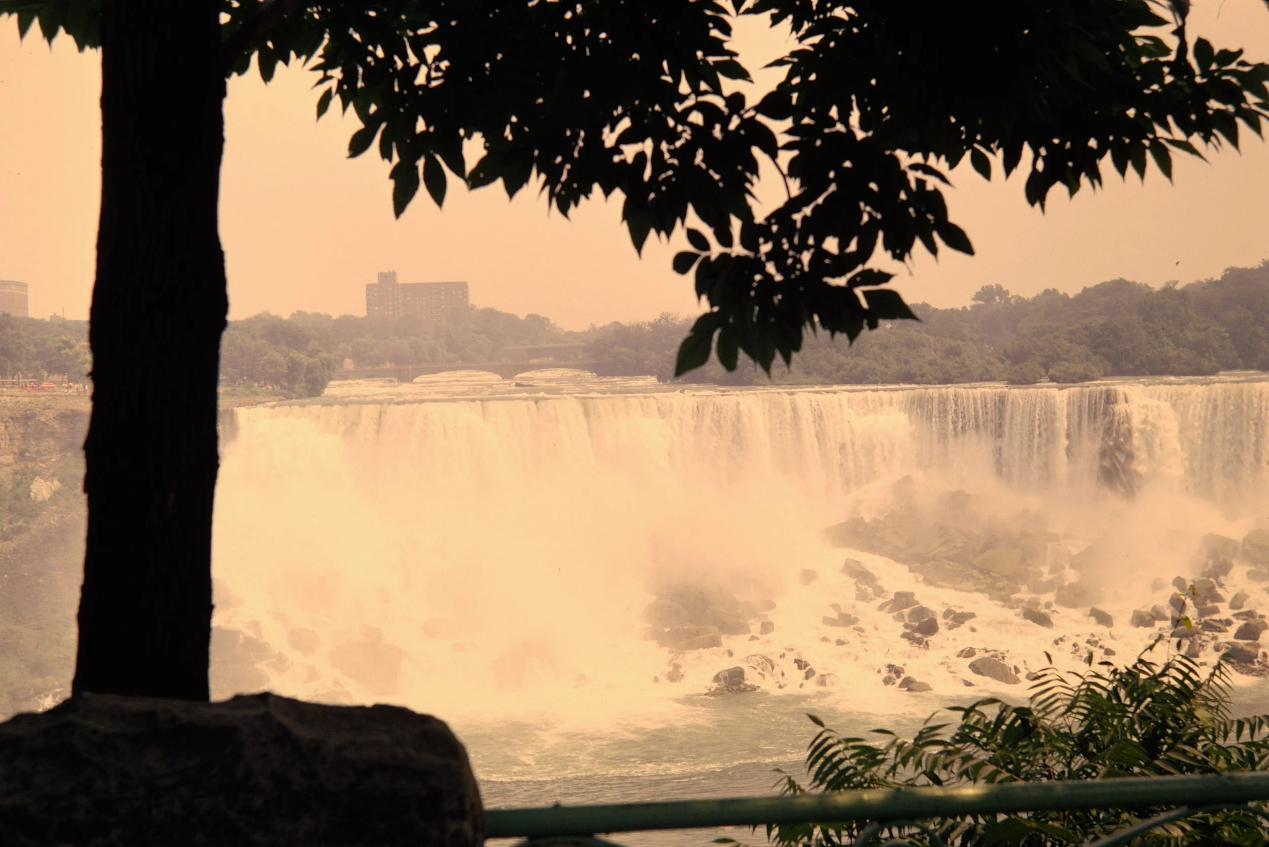 INSKICKAD_BILD_SOM_HAR_SCANNATS_OCH_DIGITALISERATS_SKANNAD_DIABILD_NEGATIV_FOTOGRAFI - 4.jpeg