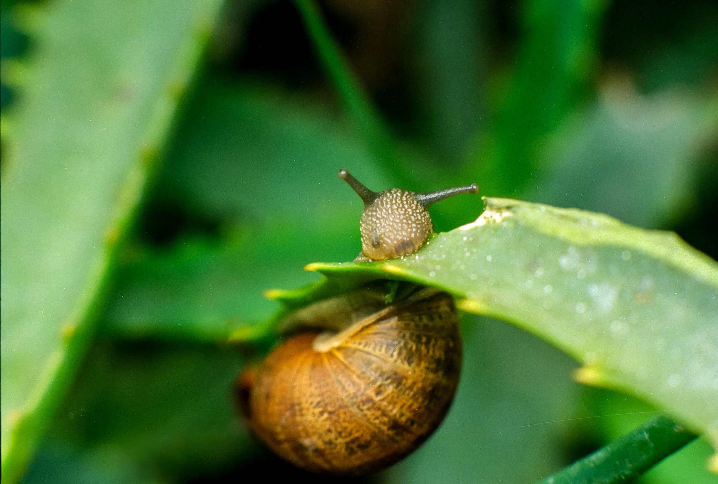 Vison3250TF4 (16).jpg