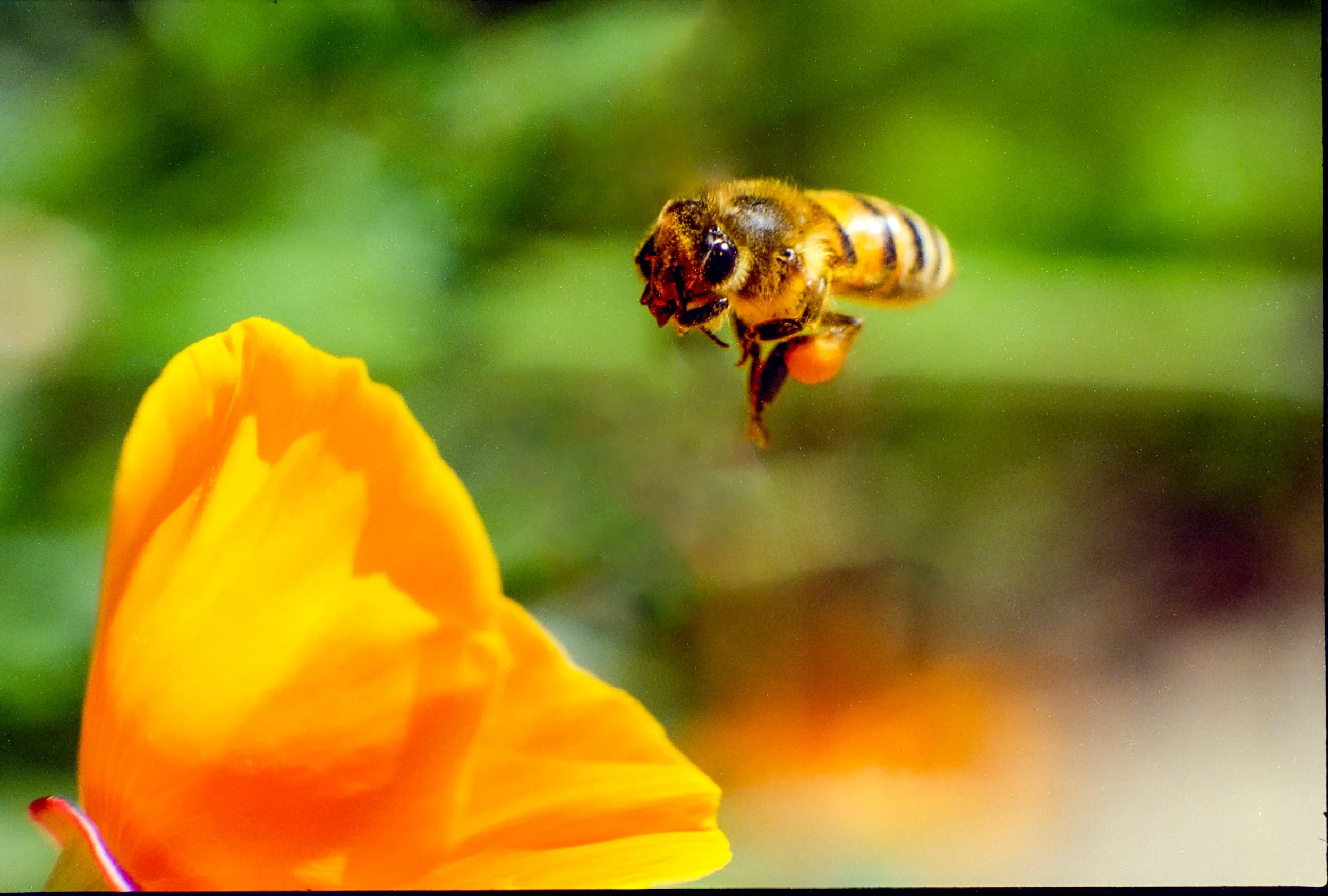 Vison3250TF4 (5).jpg