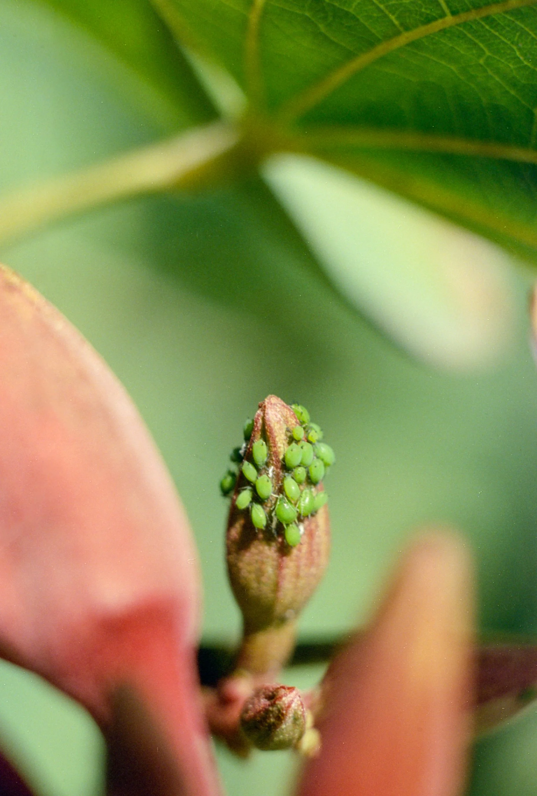 Vision3050D (12).jpg