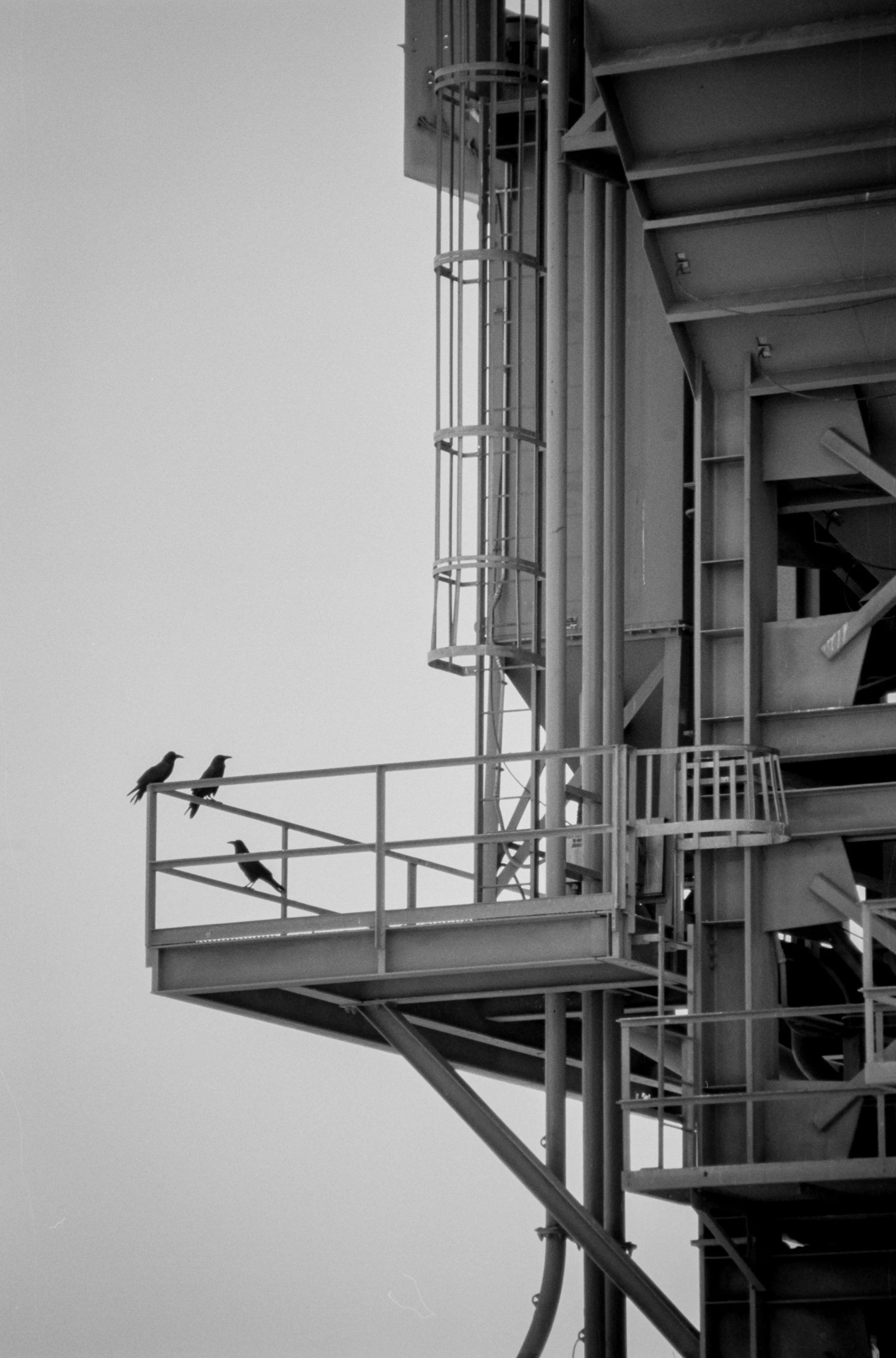 CanonEF70300SSCFerrP33 (25).jpg