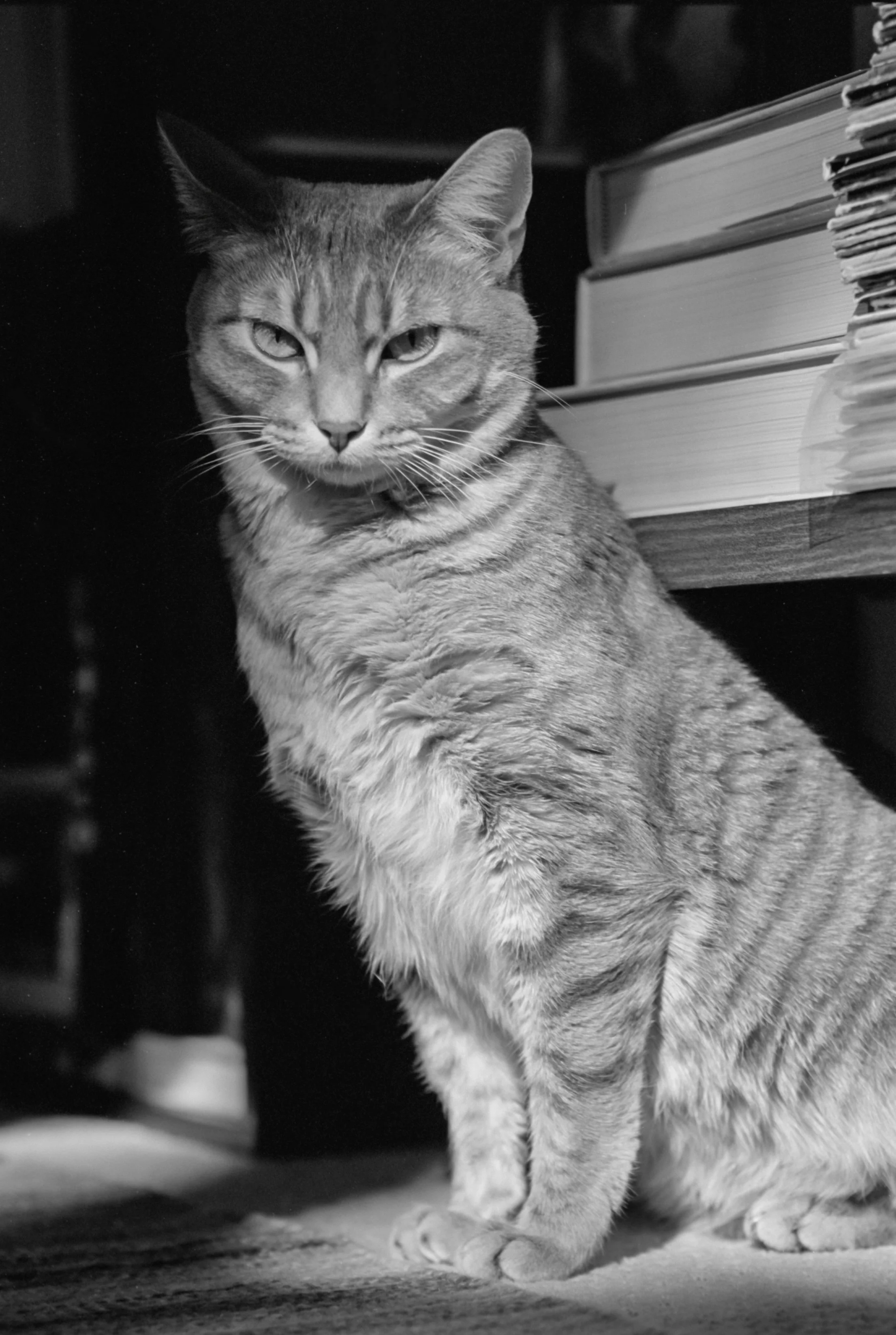 Tmax100Jupiter9Xtol1 (24).jpg