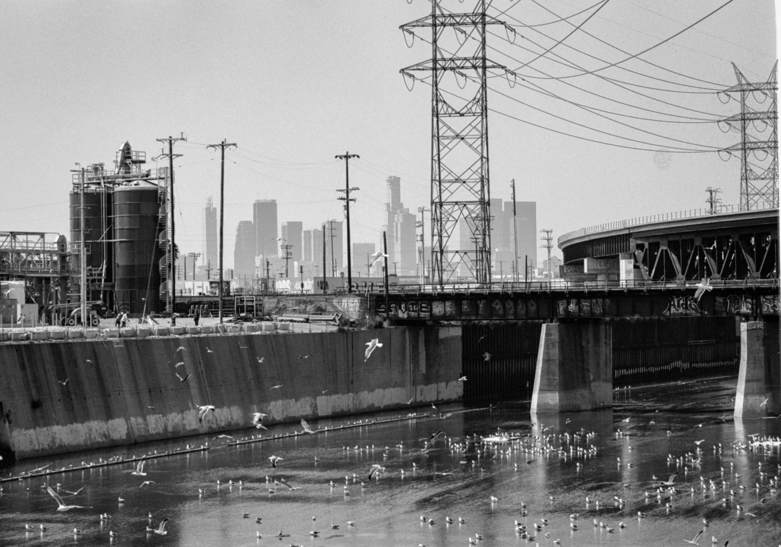 CanonEF70300SSCFerrP33 (2).jpg