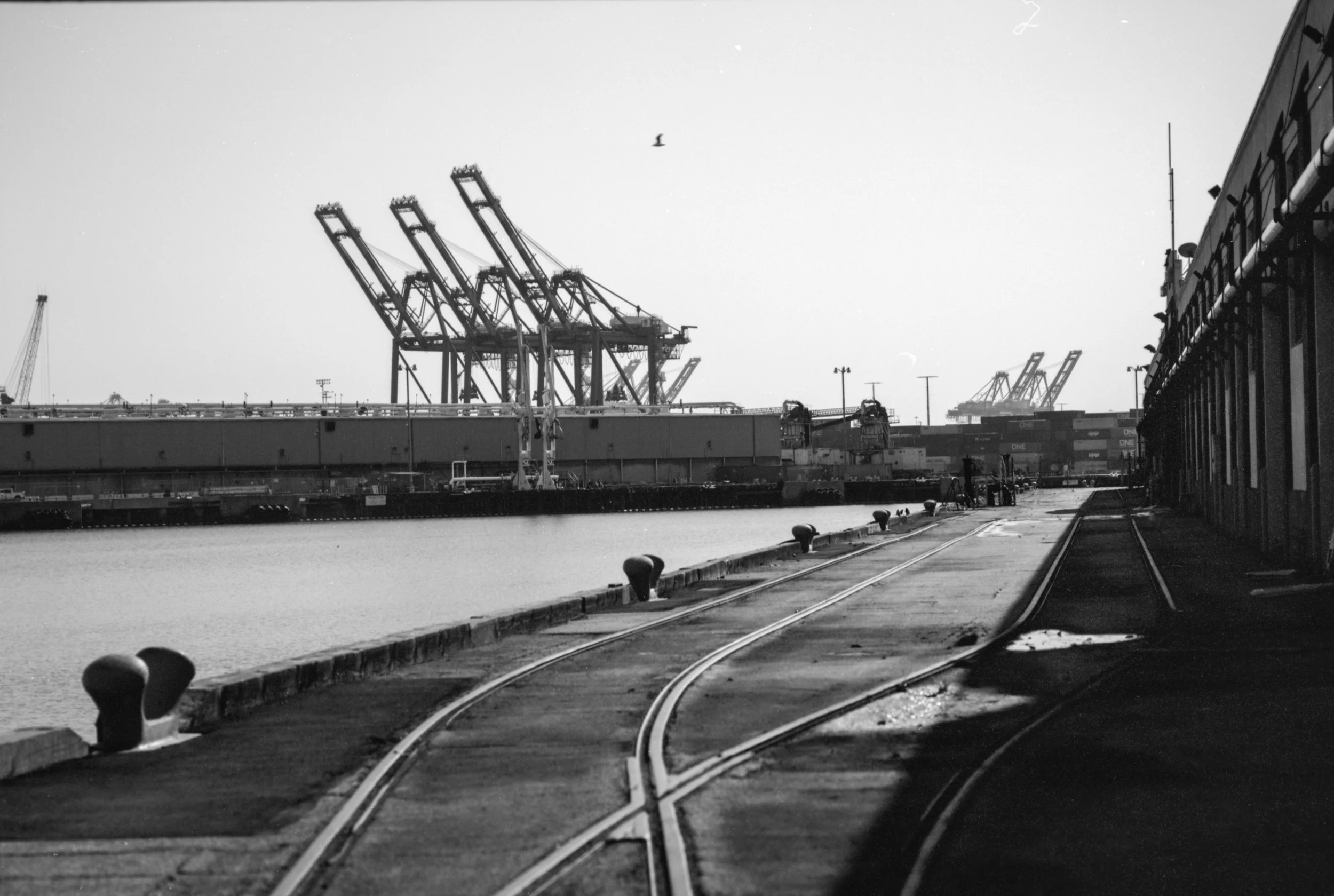 2237_Nikkor85_XS9_EI6 (15).jpg