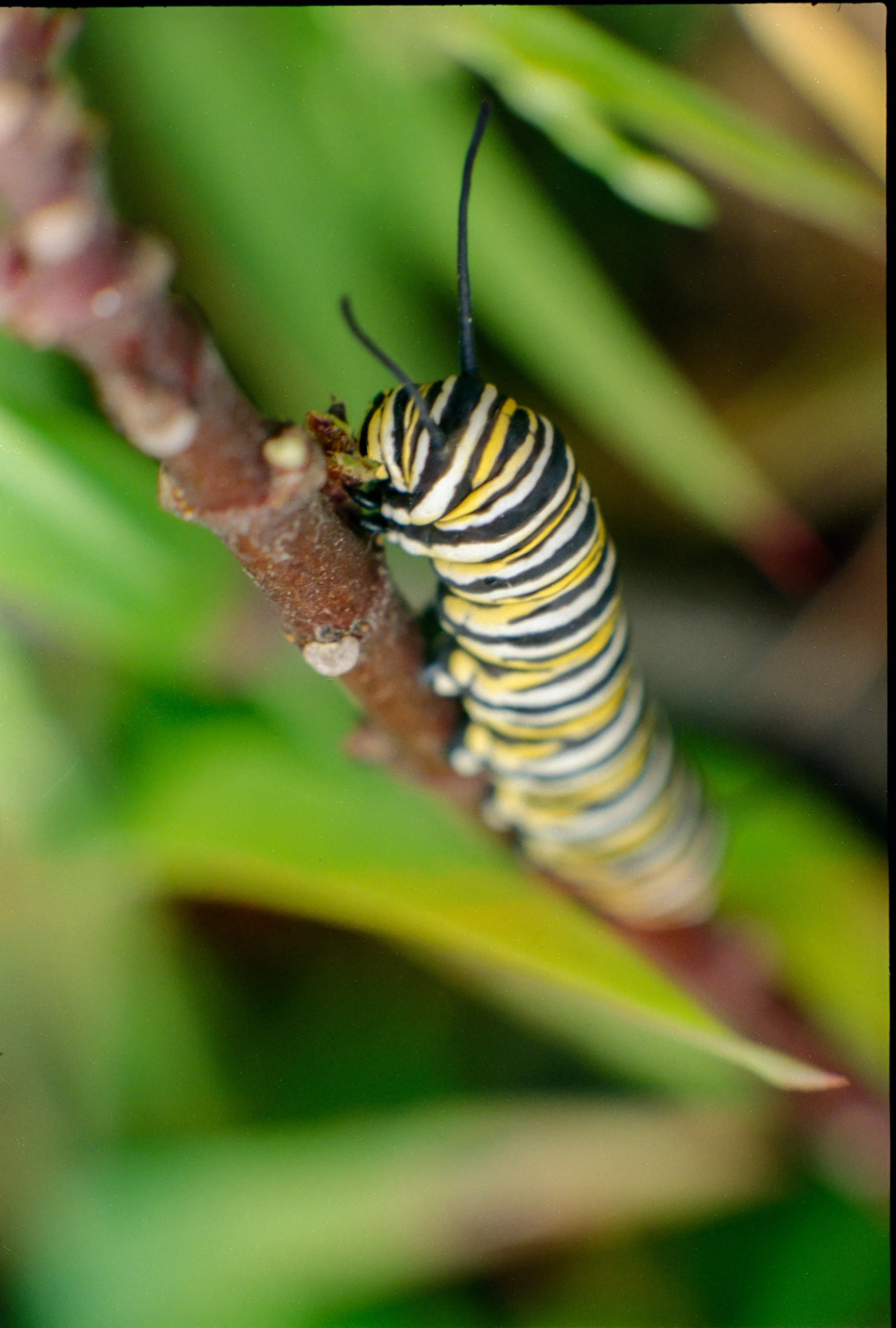 Vison3250TF4 (17).jpg