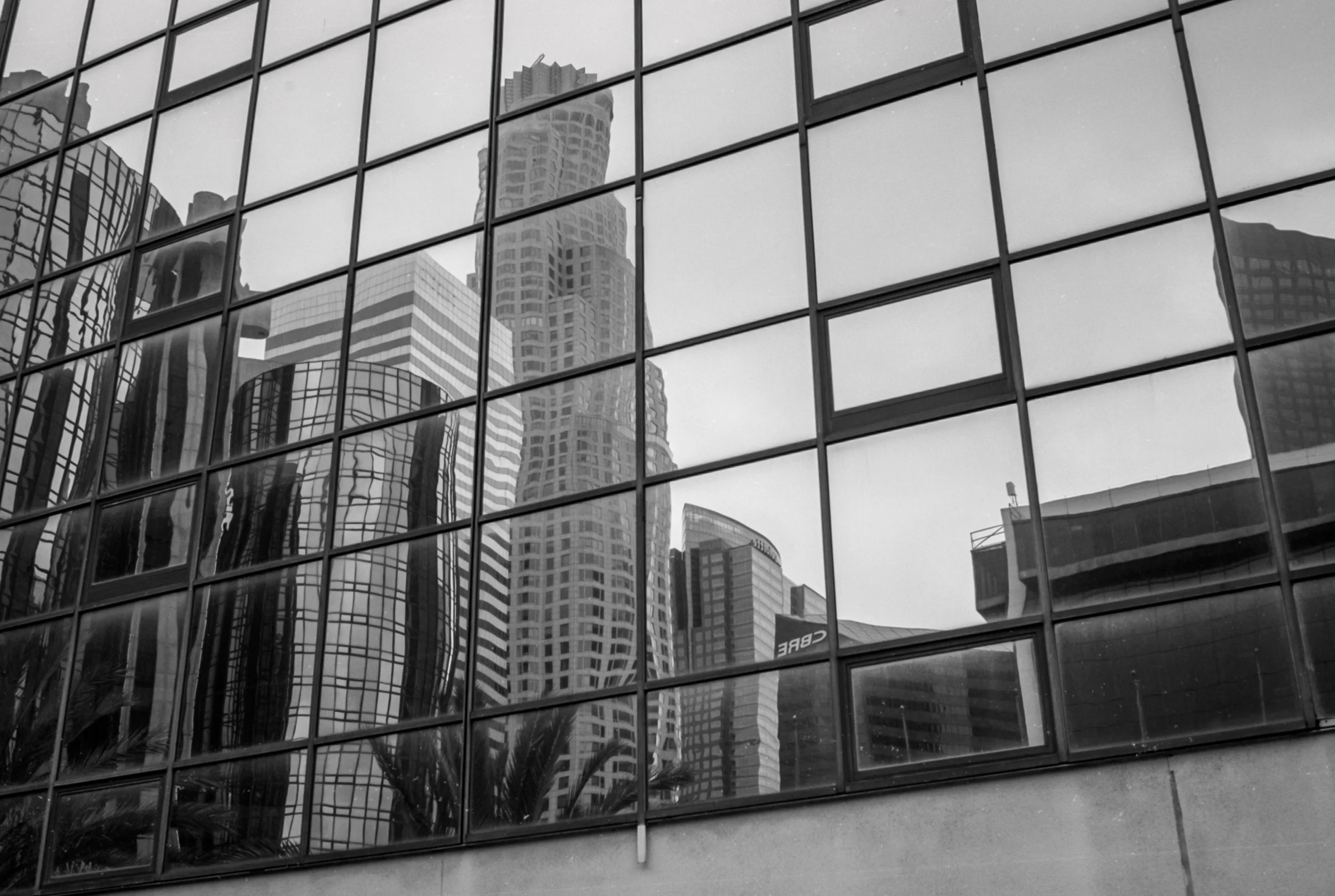 OrtoHexarXS (14).jpg