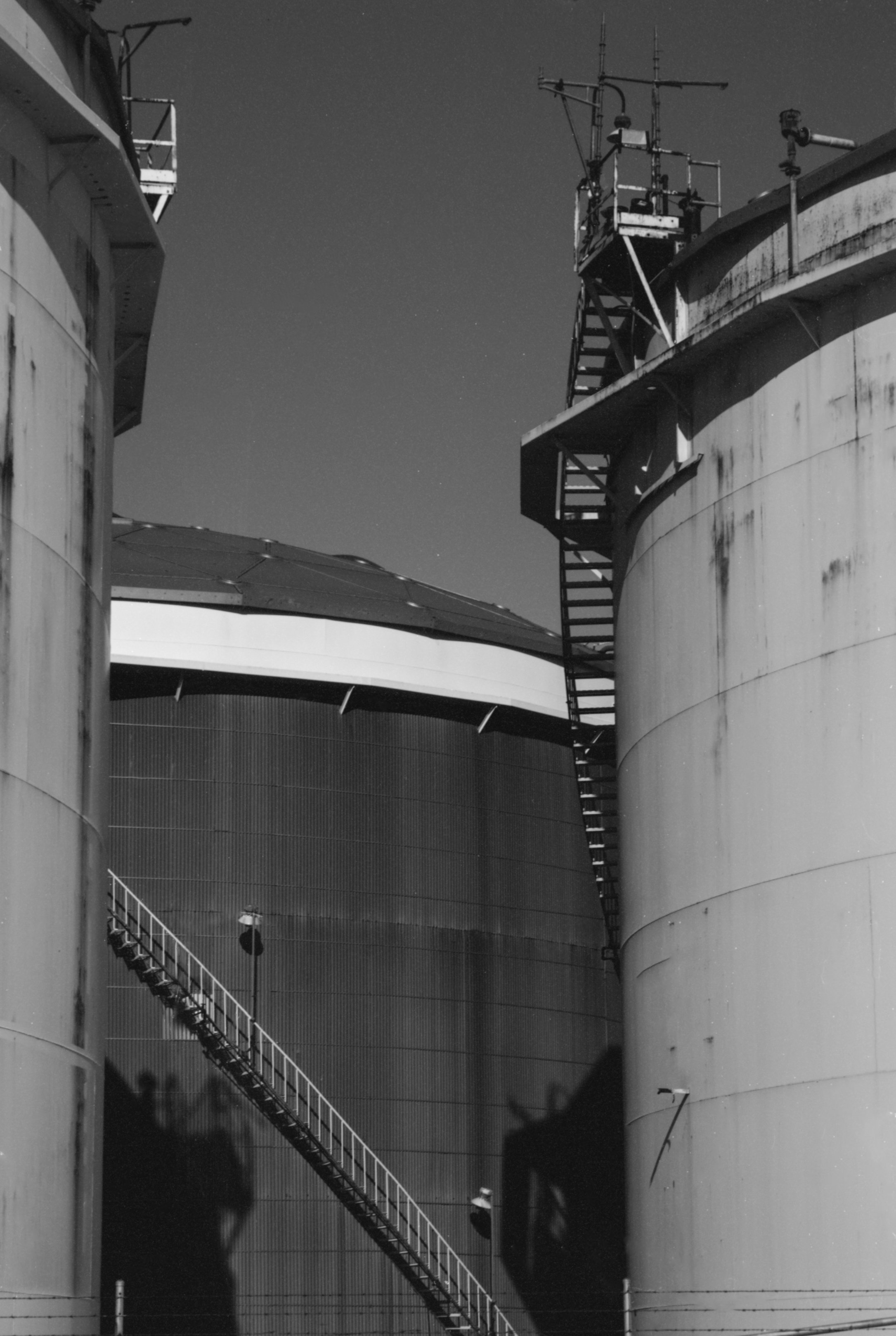 2237_Nikkor85_XS9_EI6 (7).jpg