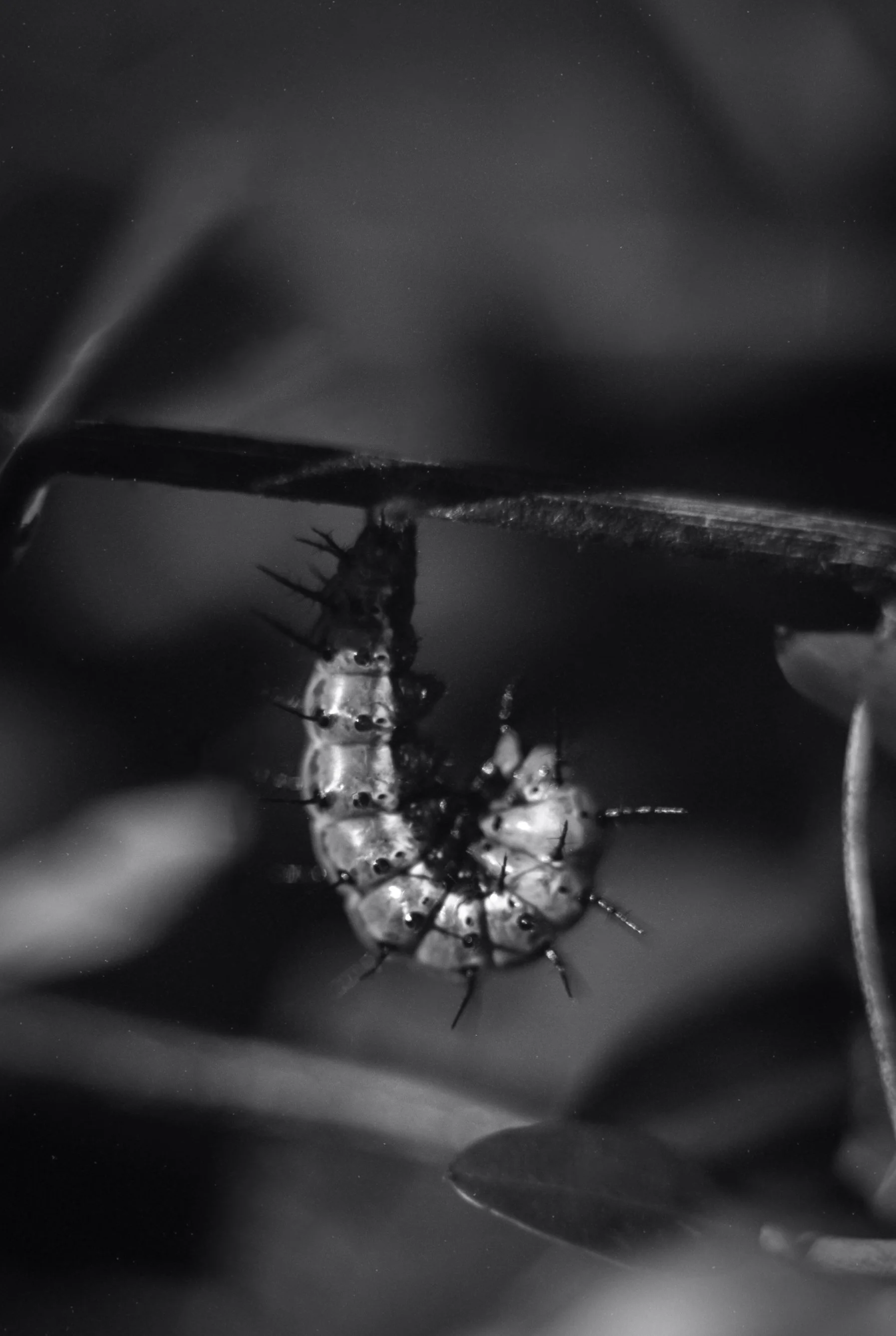 4791_EI12_XS_F92 (11).jpg