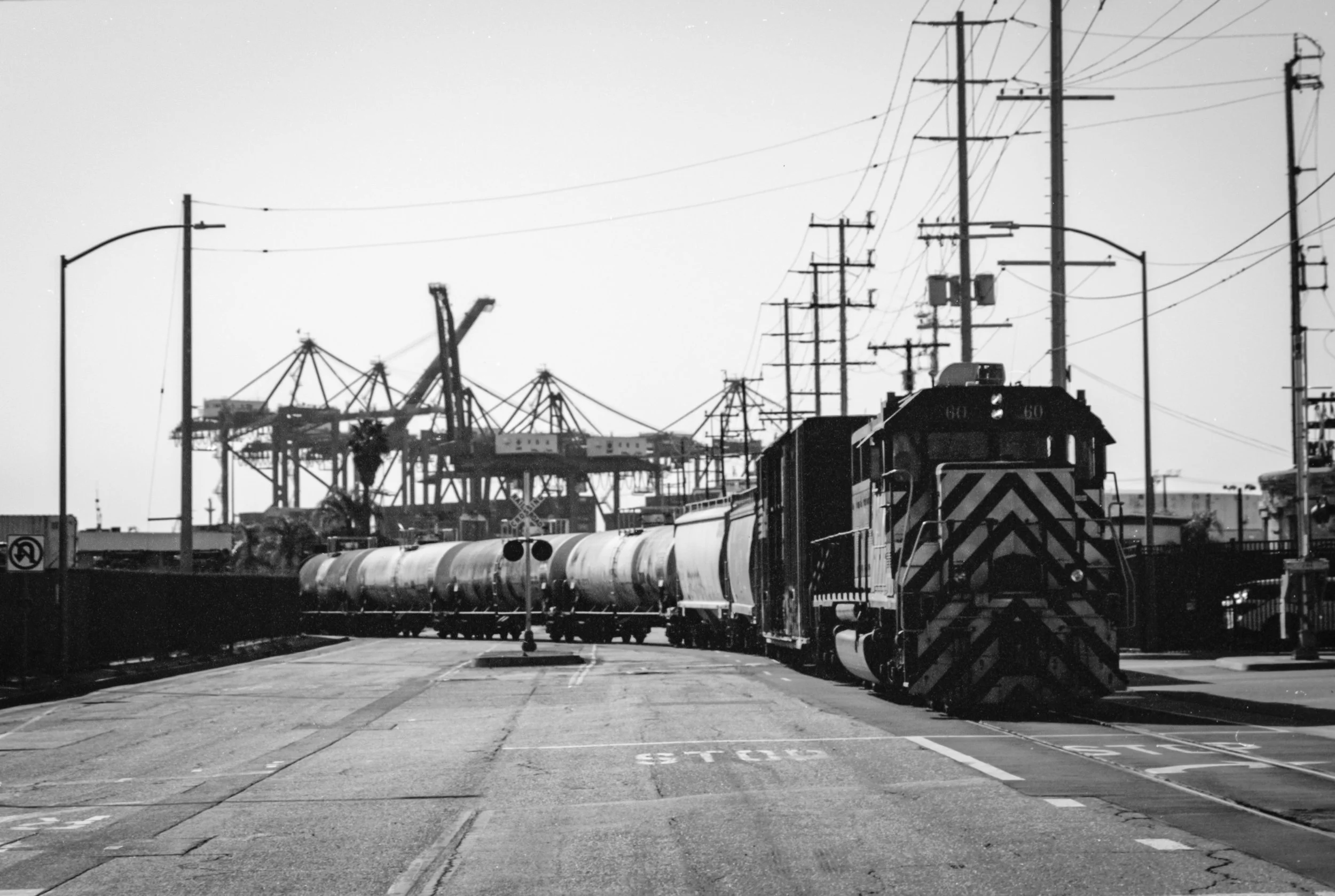 2237_Nikkor85_XS9_EI6 (11).jpg