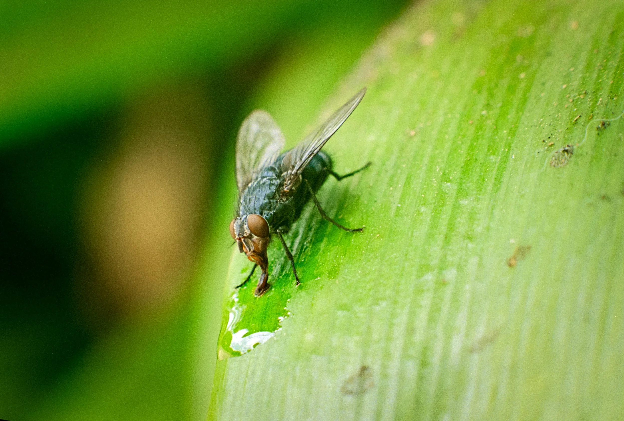 NikkorPortra HRLaunch (14).jpg