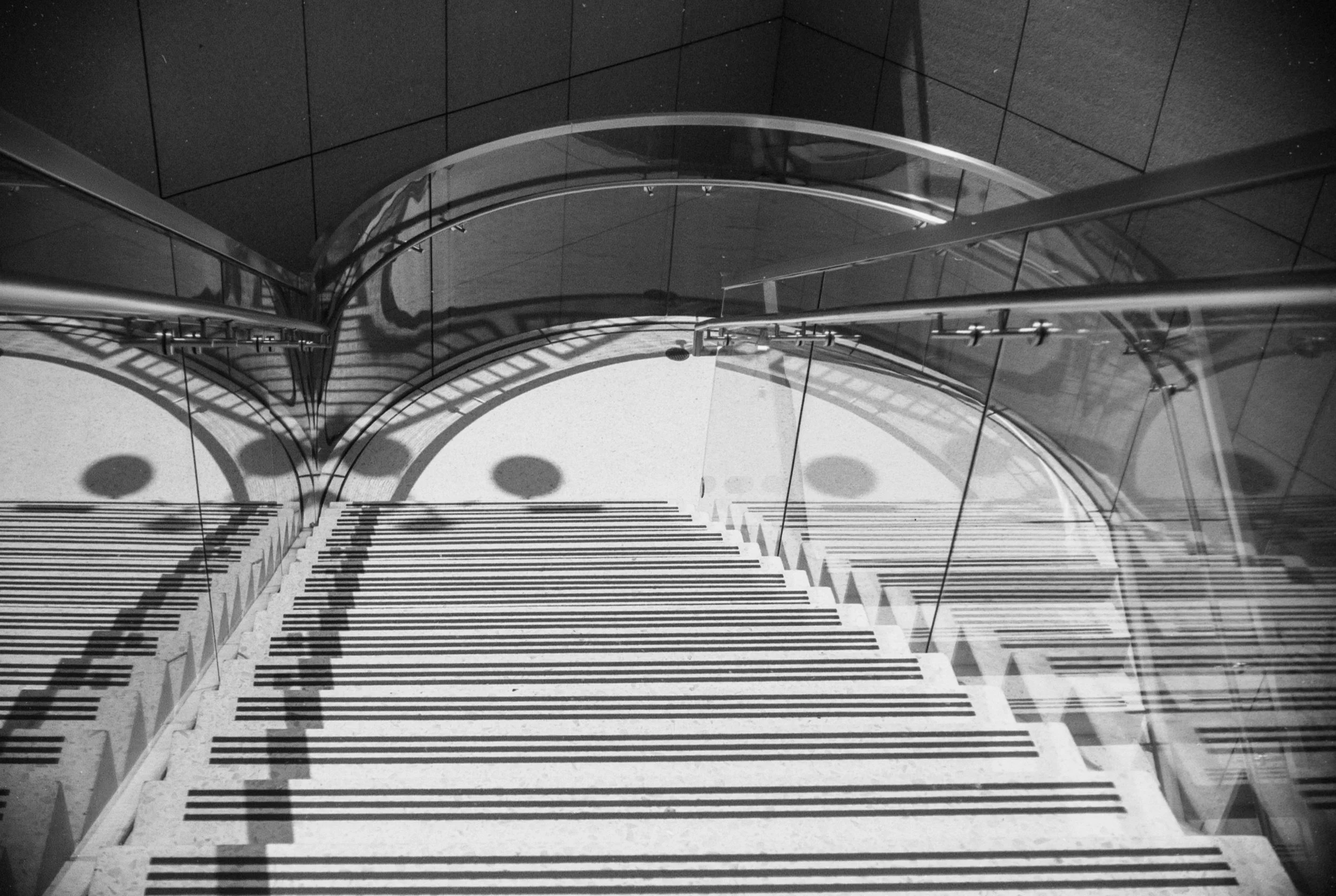 2238Mir1Xtol32 (10).jpg