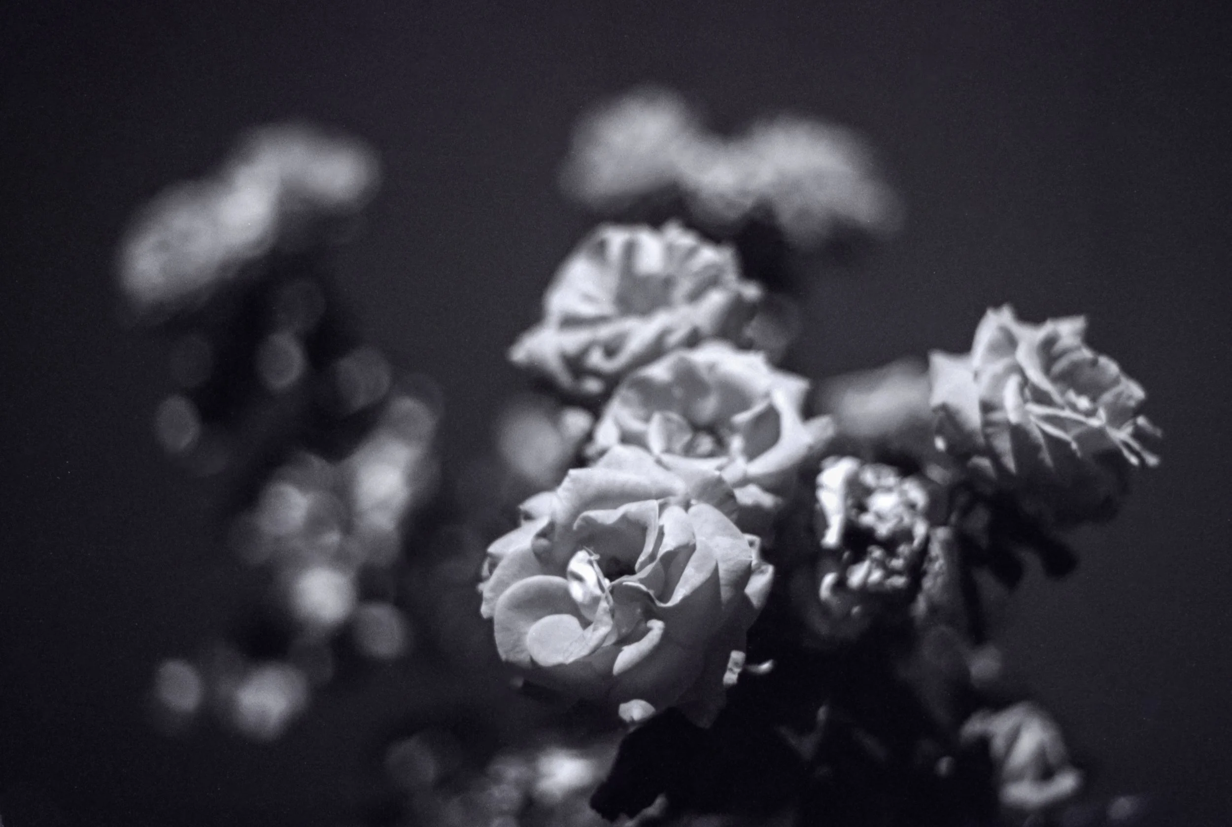 Rodagon2238510Pyro (6).jpg