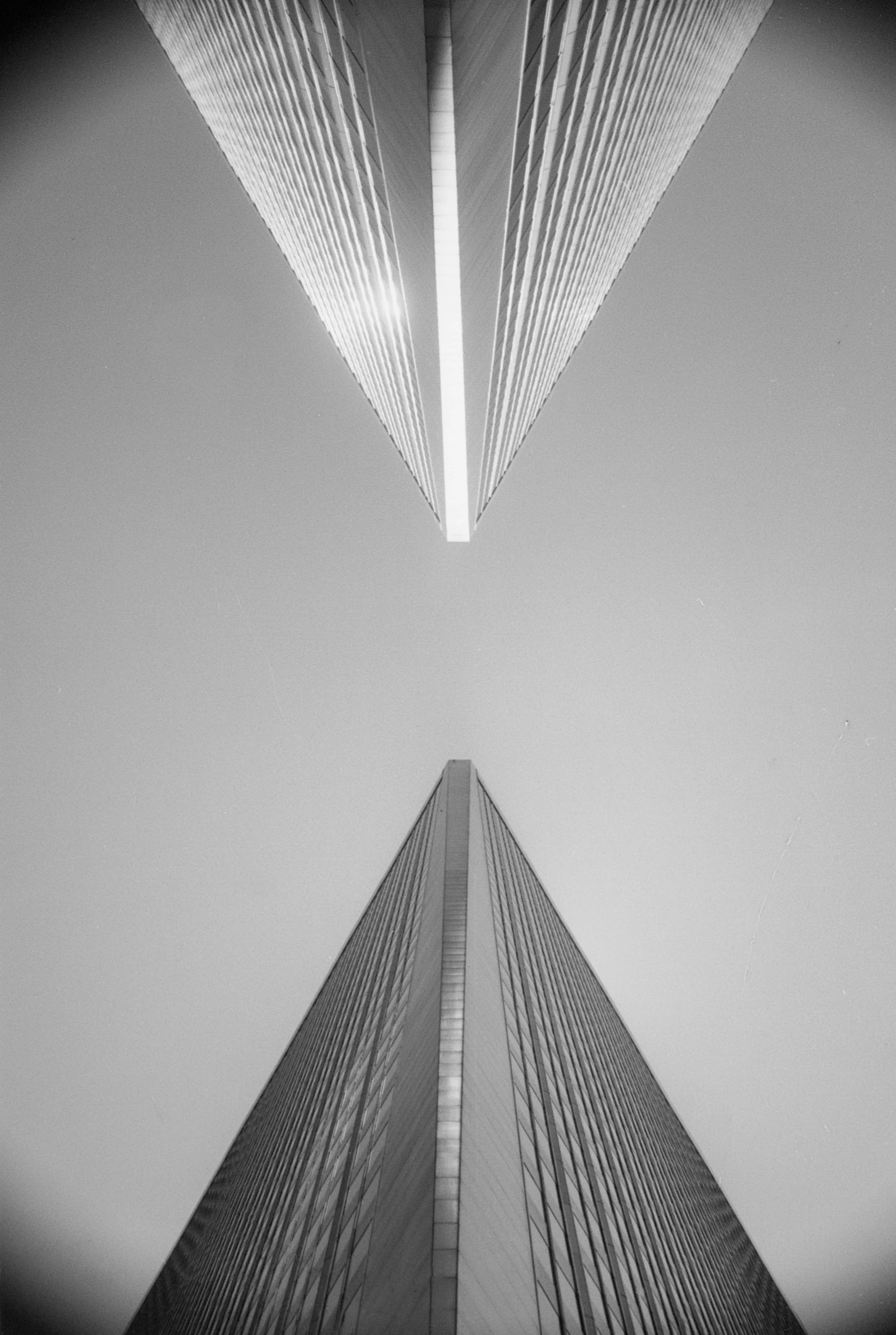 2238Mir1Xtol32 (33).jpg