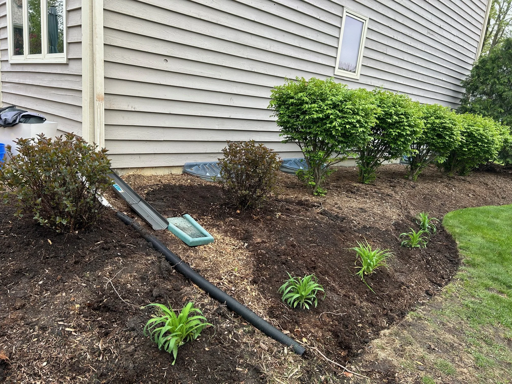 Newly planted shrubs and flowers in a garden bed alongside a house with horizontal siding, with a gutter downspout and some gardening tools.