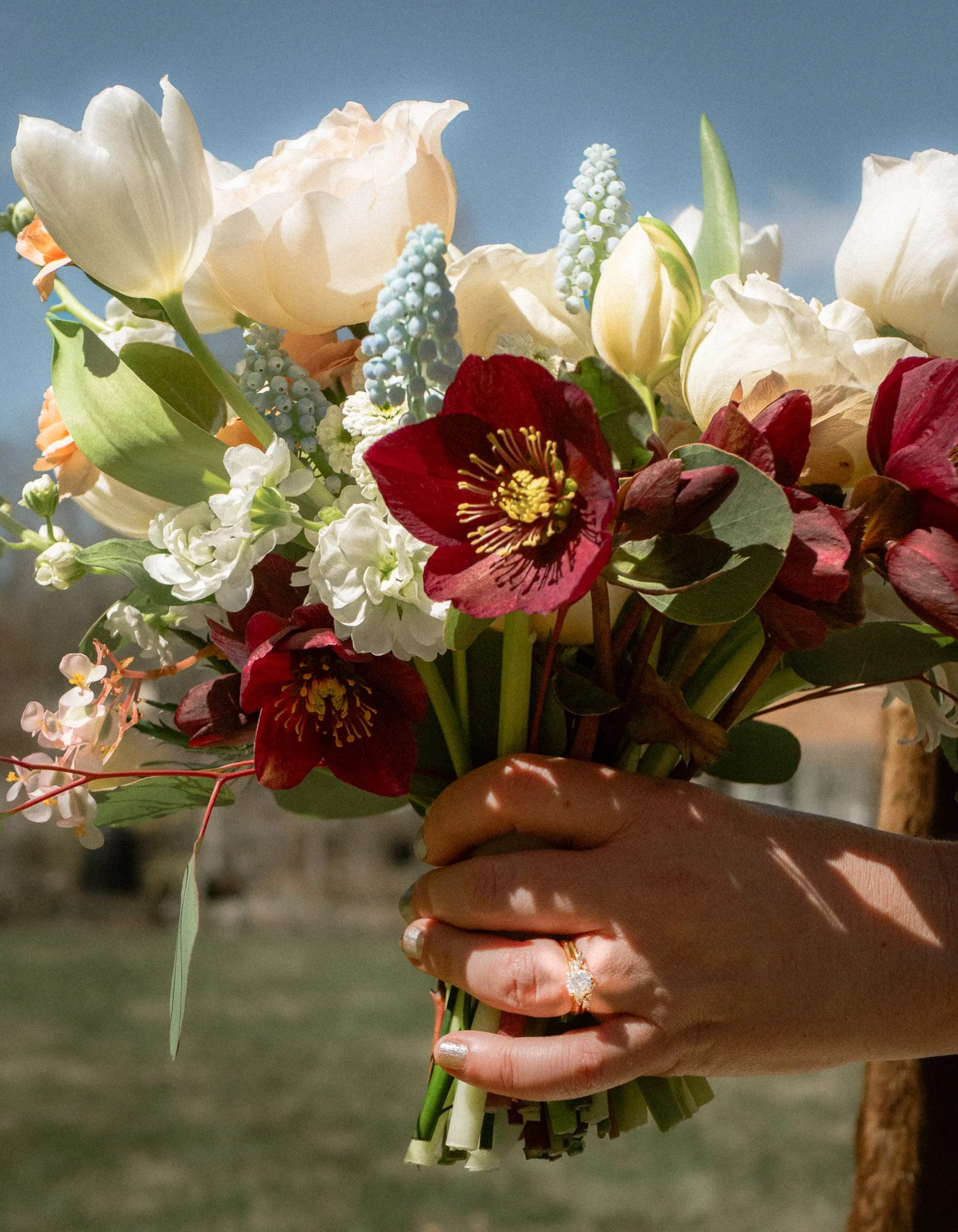 A hand holding a colorful bouquet of flowers, including white tulips, burgundy hellebores, and small white and blue flowers, against a blue sky background.