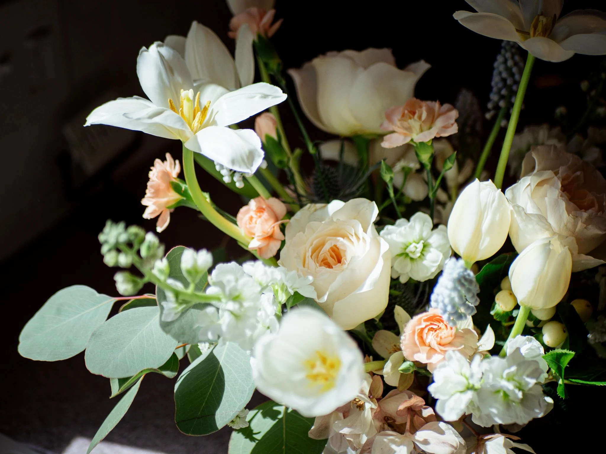 A bouquet of white open tulips, peach roses, and greenery with large eucalyptus leaves on a dark background.