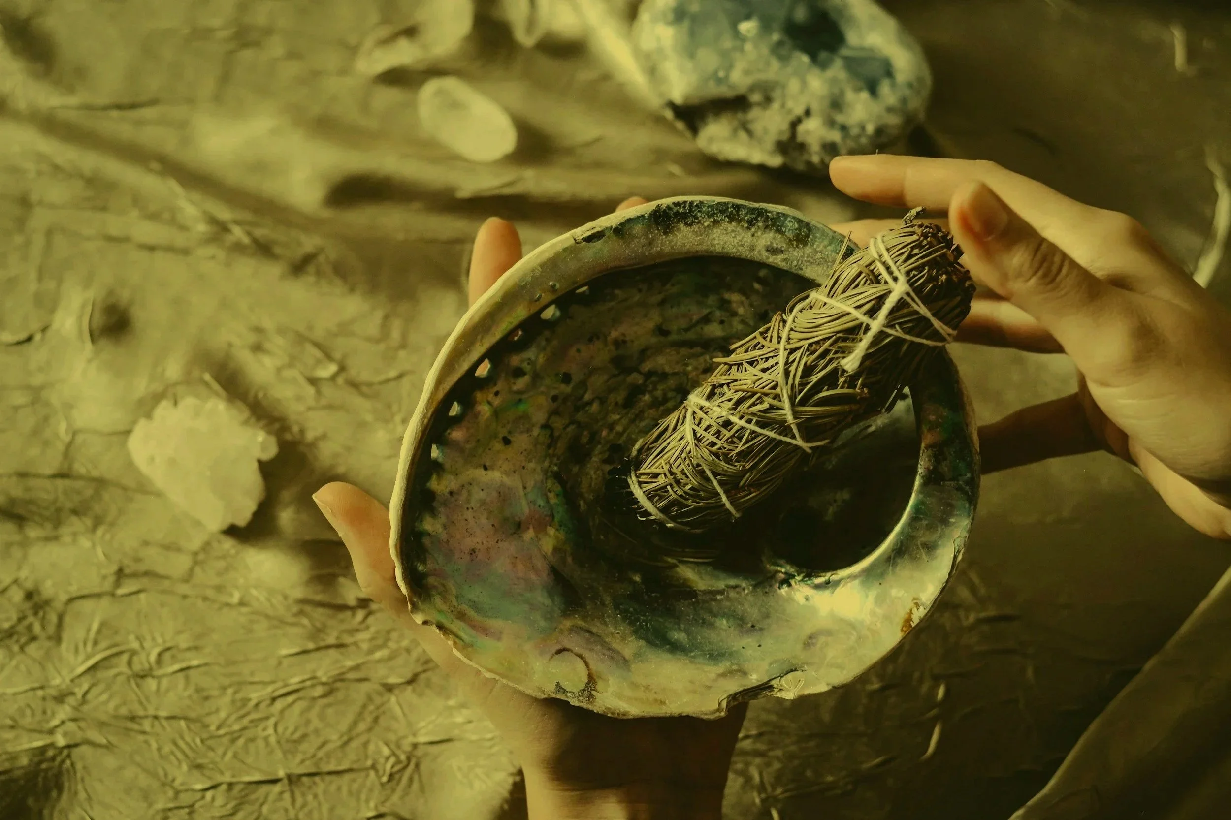 Hand holding a shell with a woven object inside, against a textured, rocky background.