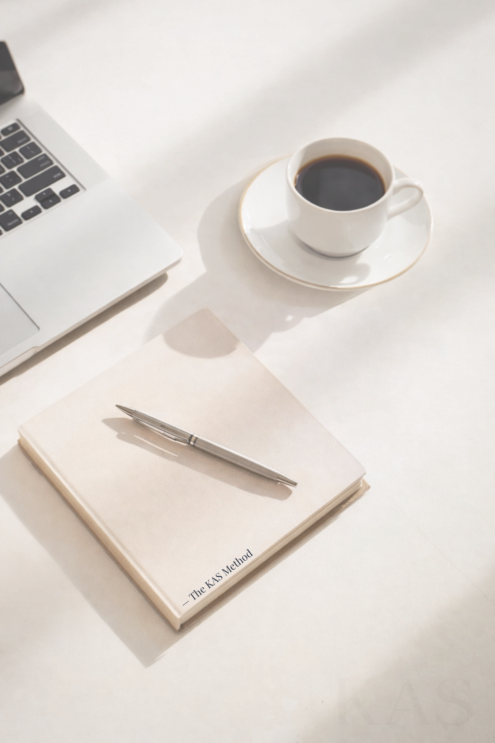 Aesthetic business planning and consulting session