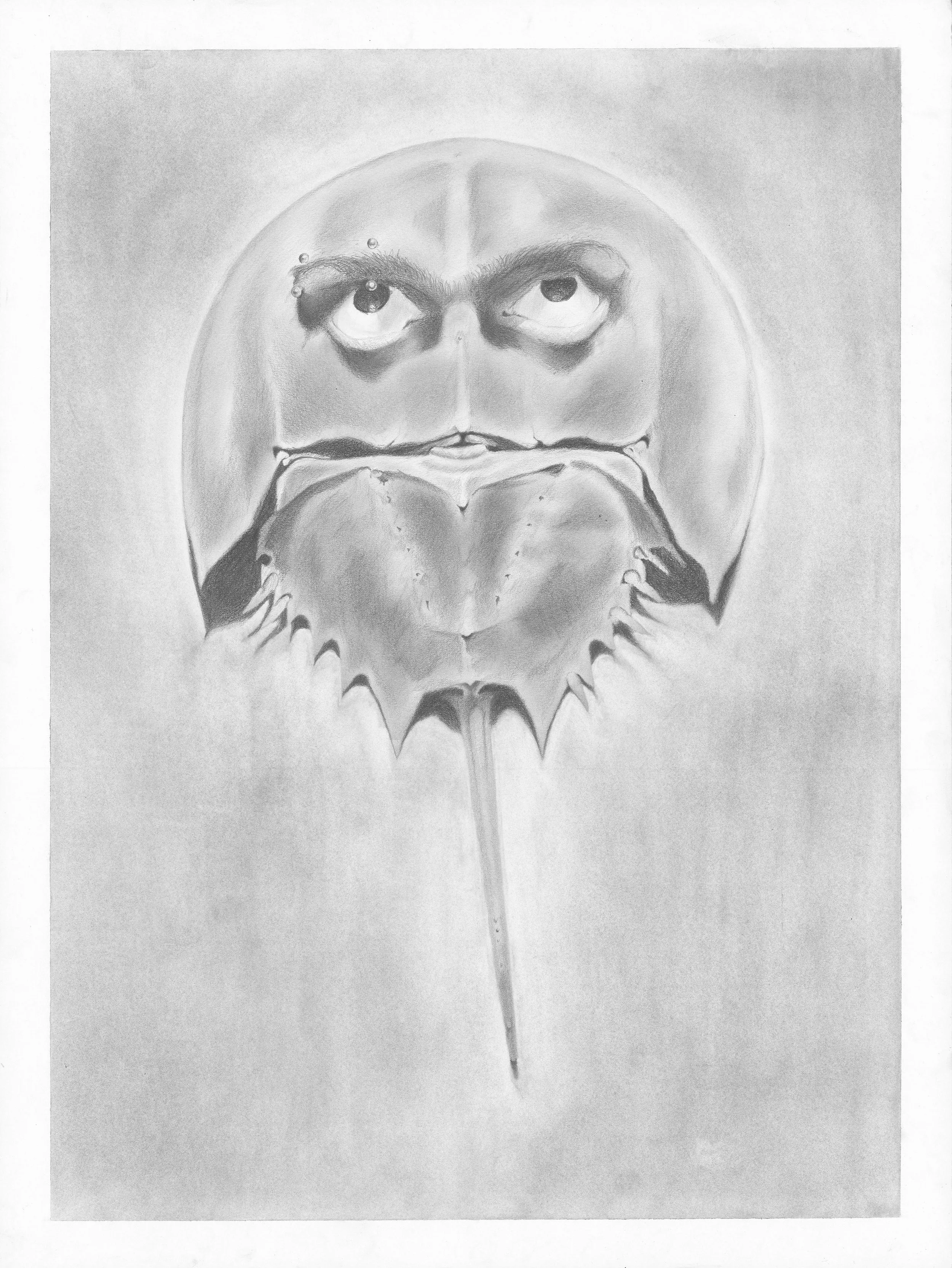 "Omen of the Unchanging" 2024, Graphite on Paper
(Published in "Sideline Magazine" Spring 2026)