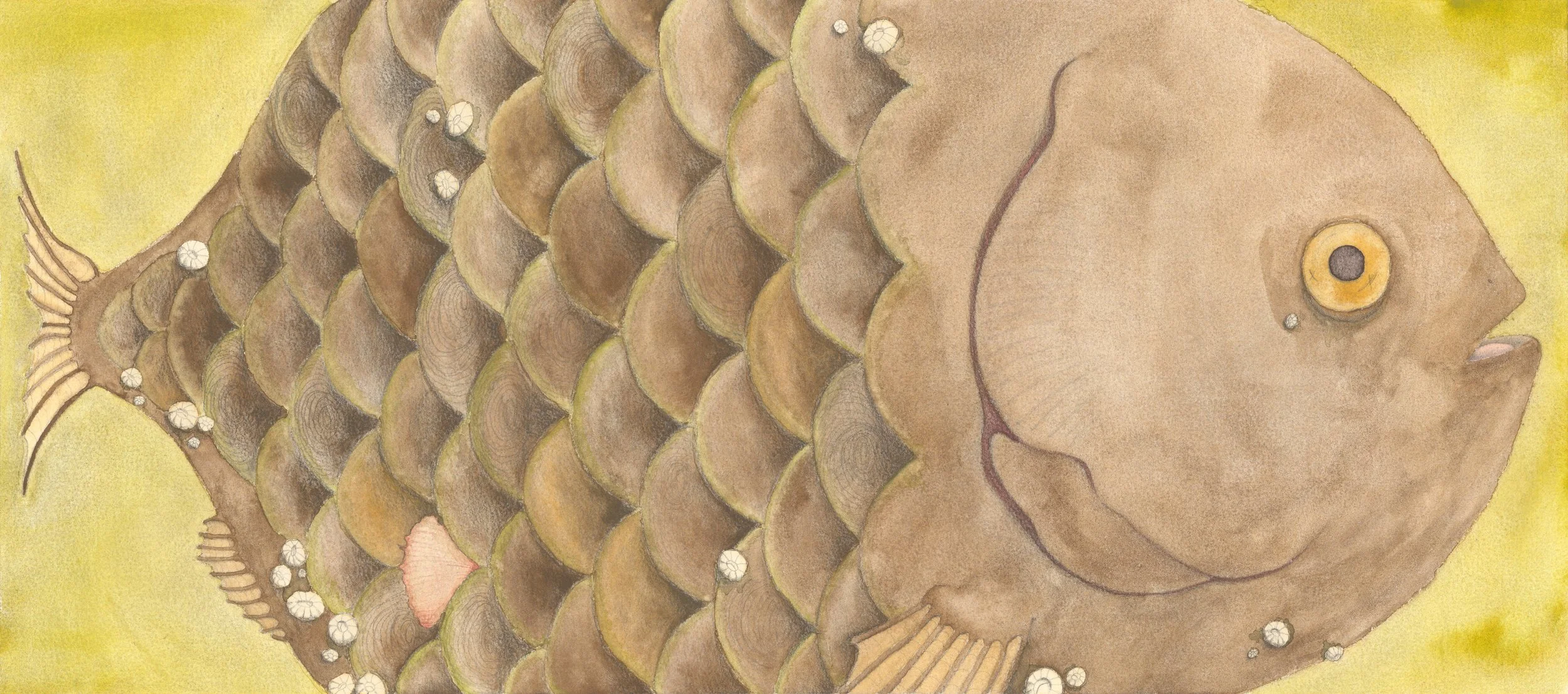 "The Fish" 2025, Graphite & Watercolor on Paper