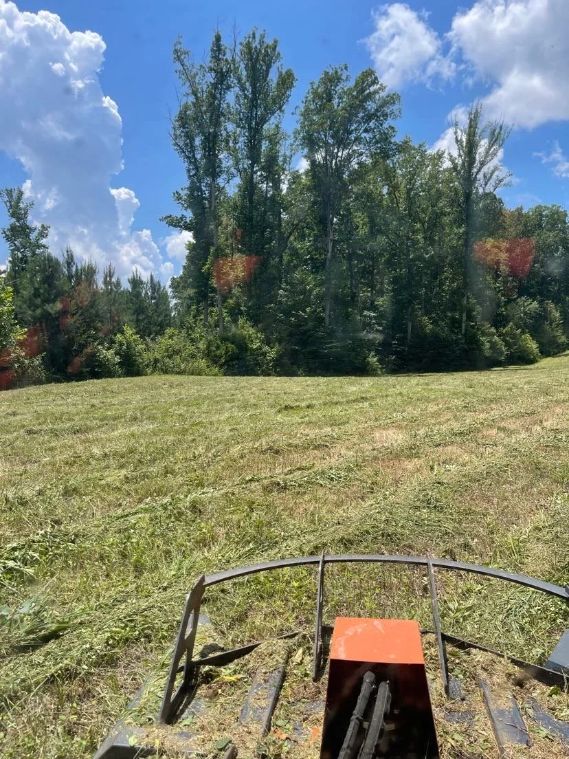 A grassy field with a mower attachment in the foreground and a line of tall trees in the background, under a partly cloudy blue sky.