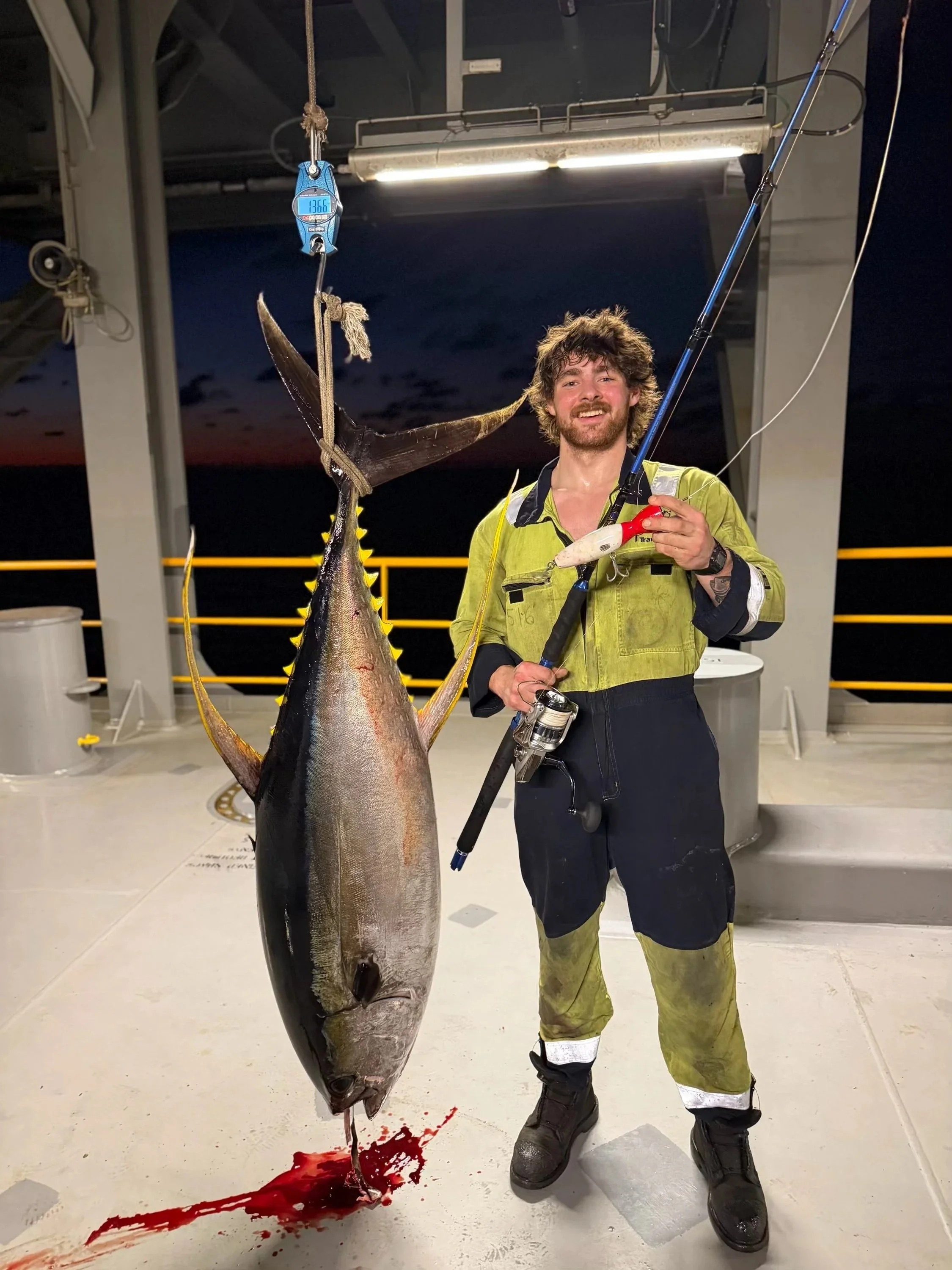 136 pound Yellowfin