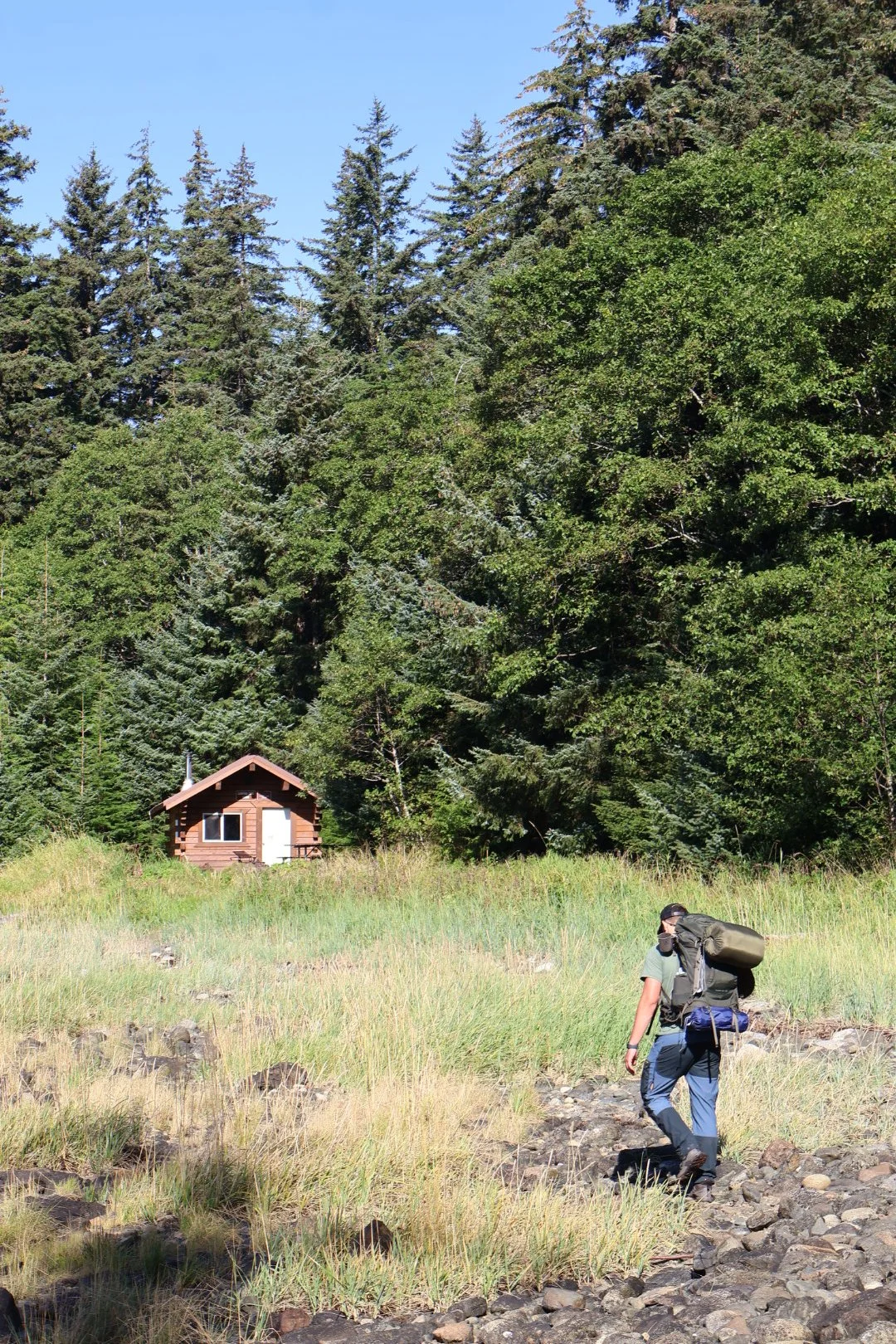 Hiker walking on rocky trail in a grassy field with a small wooden cabin and dense evergreen forest in the background under a bright blue sky.