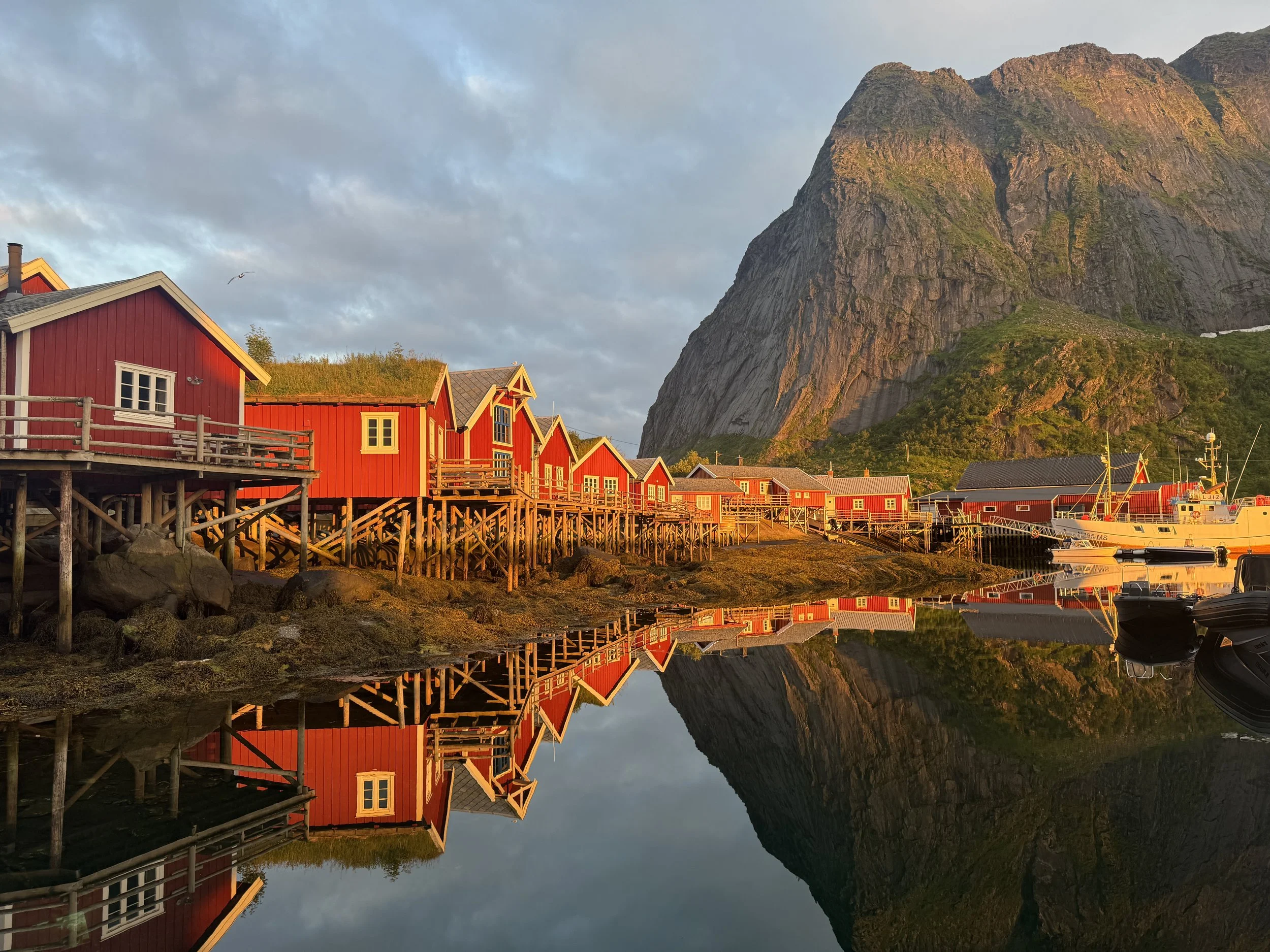 Reine