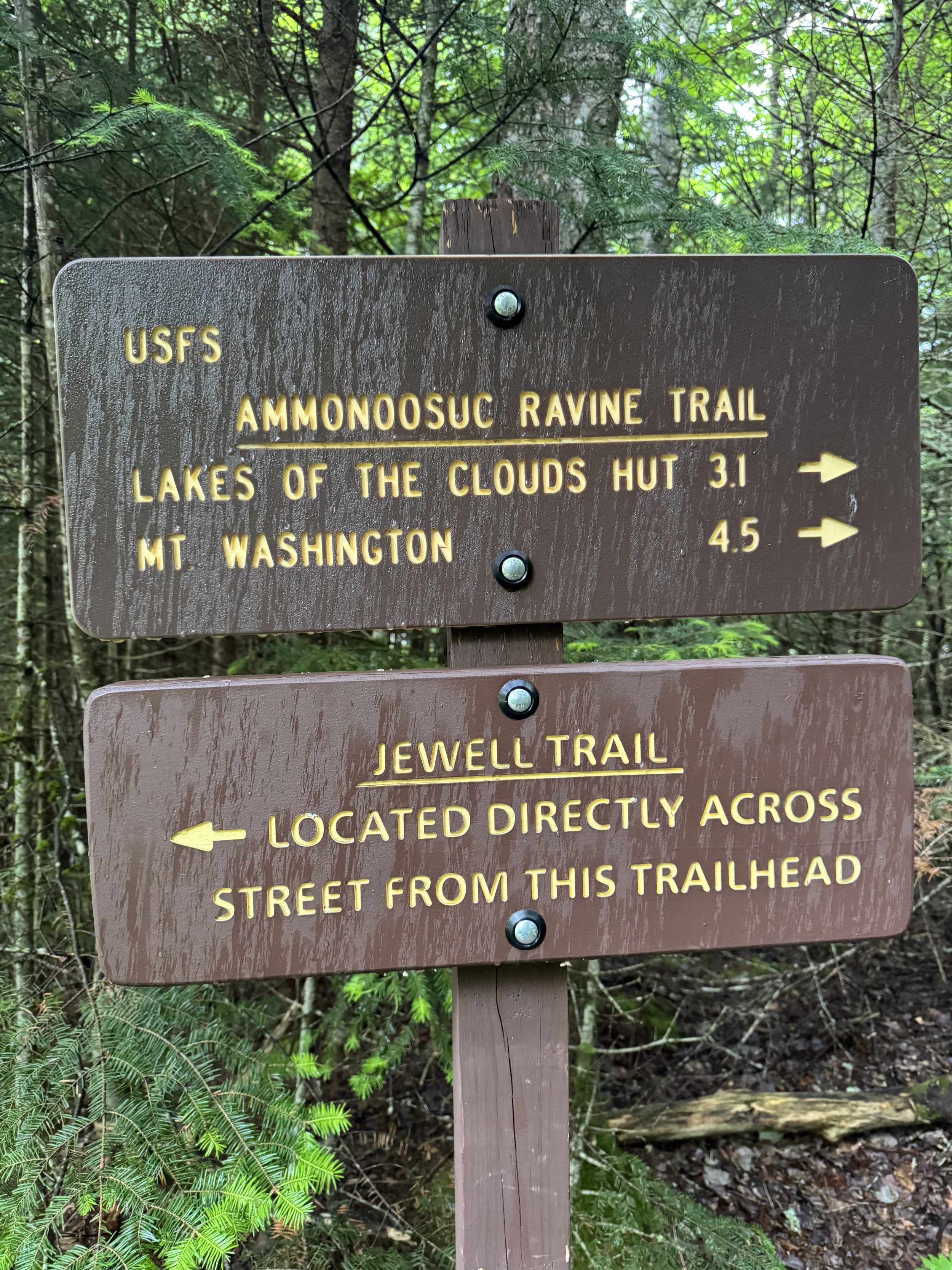 Ammonoosuc Ravine Trail Sign