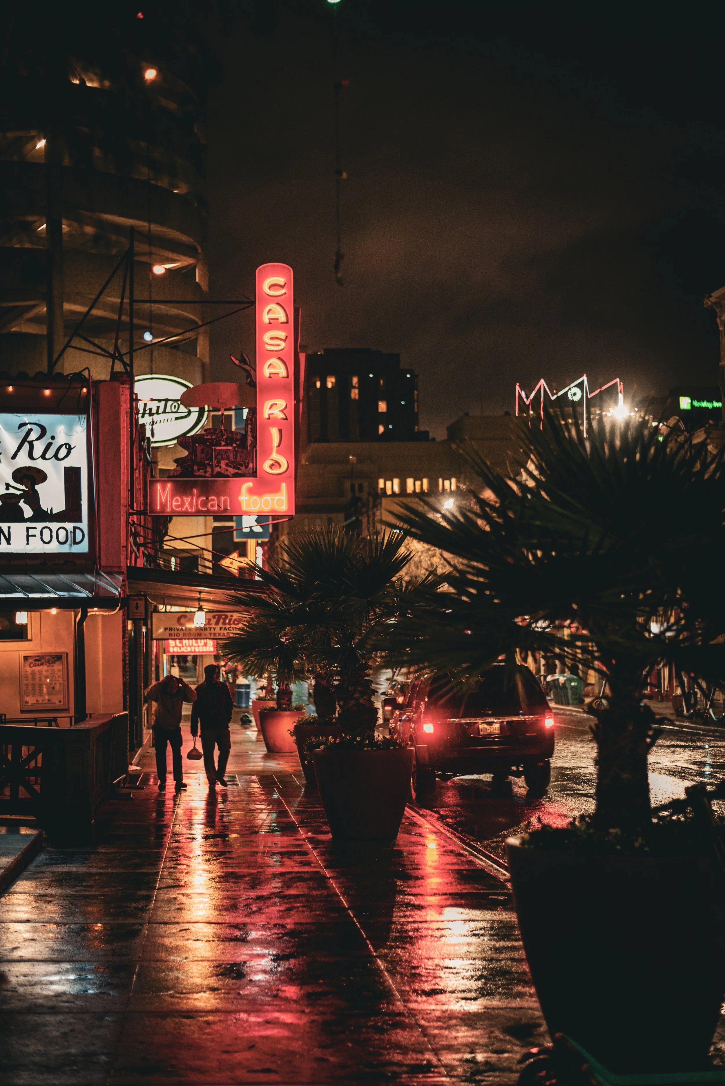 Damp Nights At The Rio