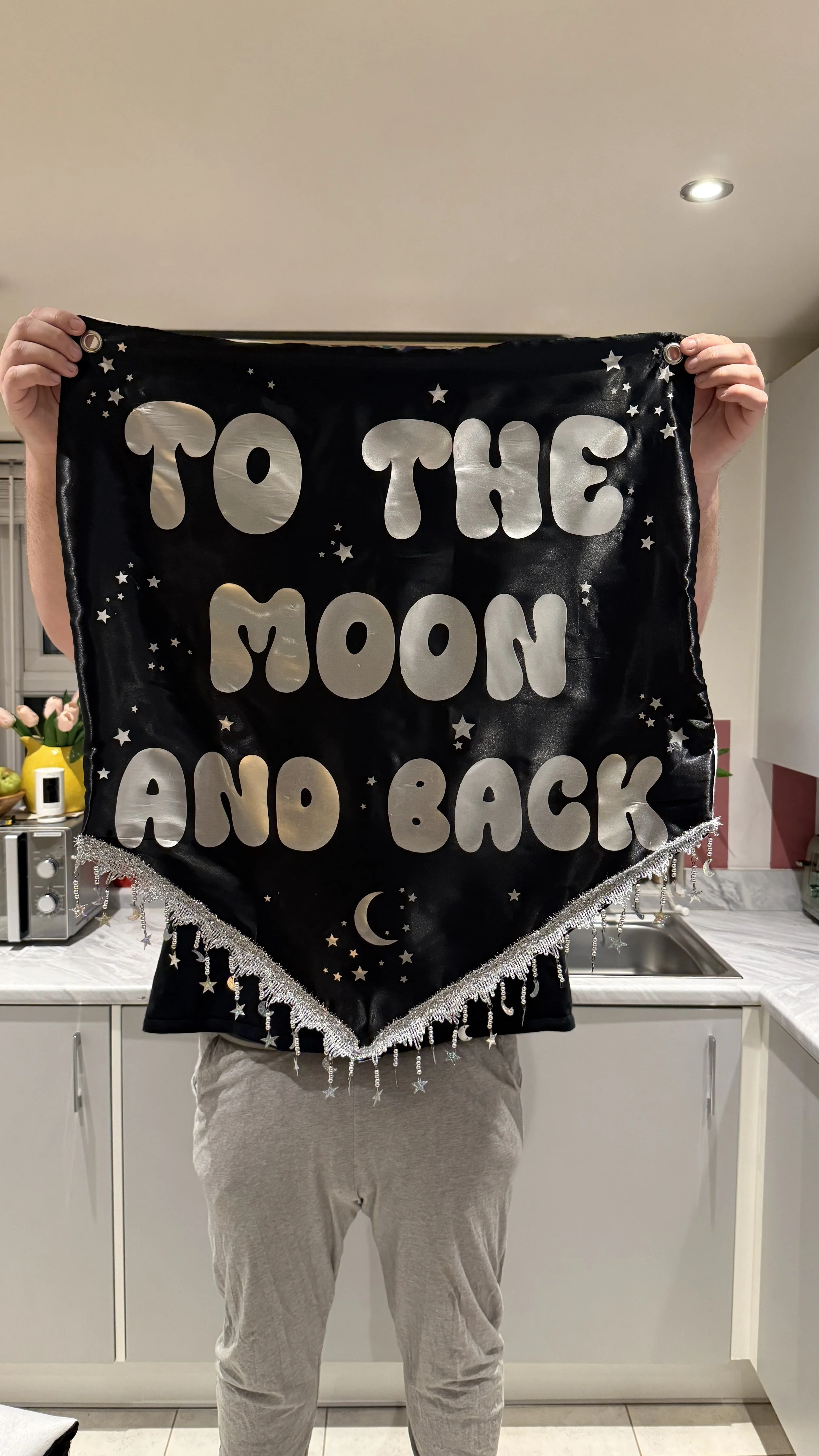 To the moon and back medium banner