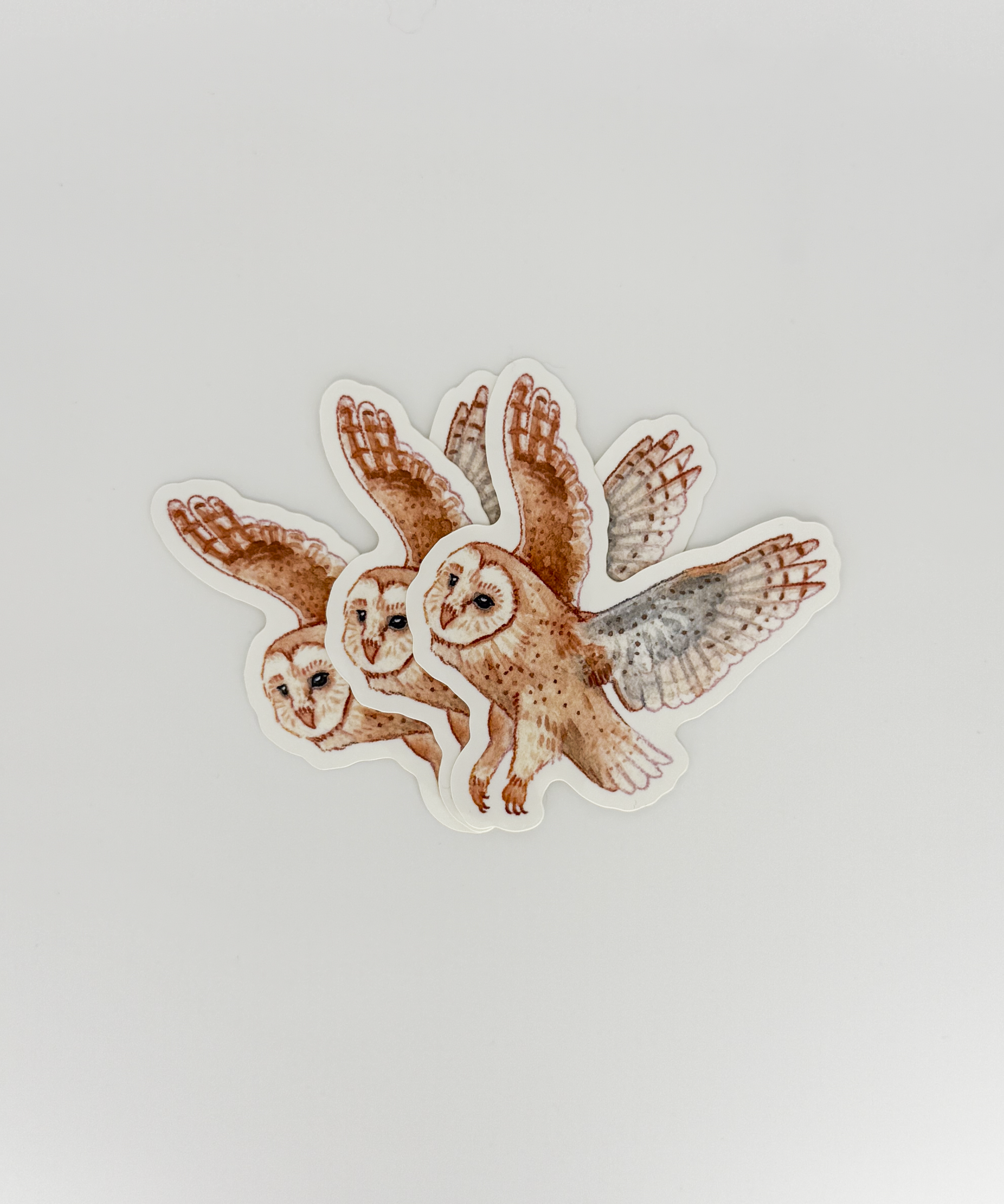 Parade of Color-28.png