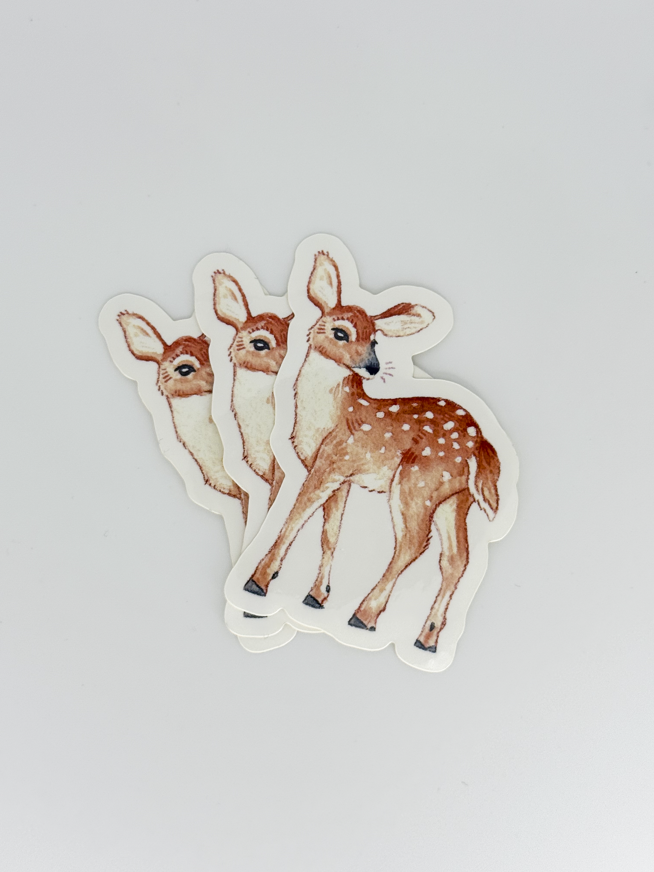 Parade of Color-22.png