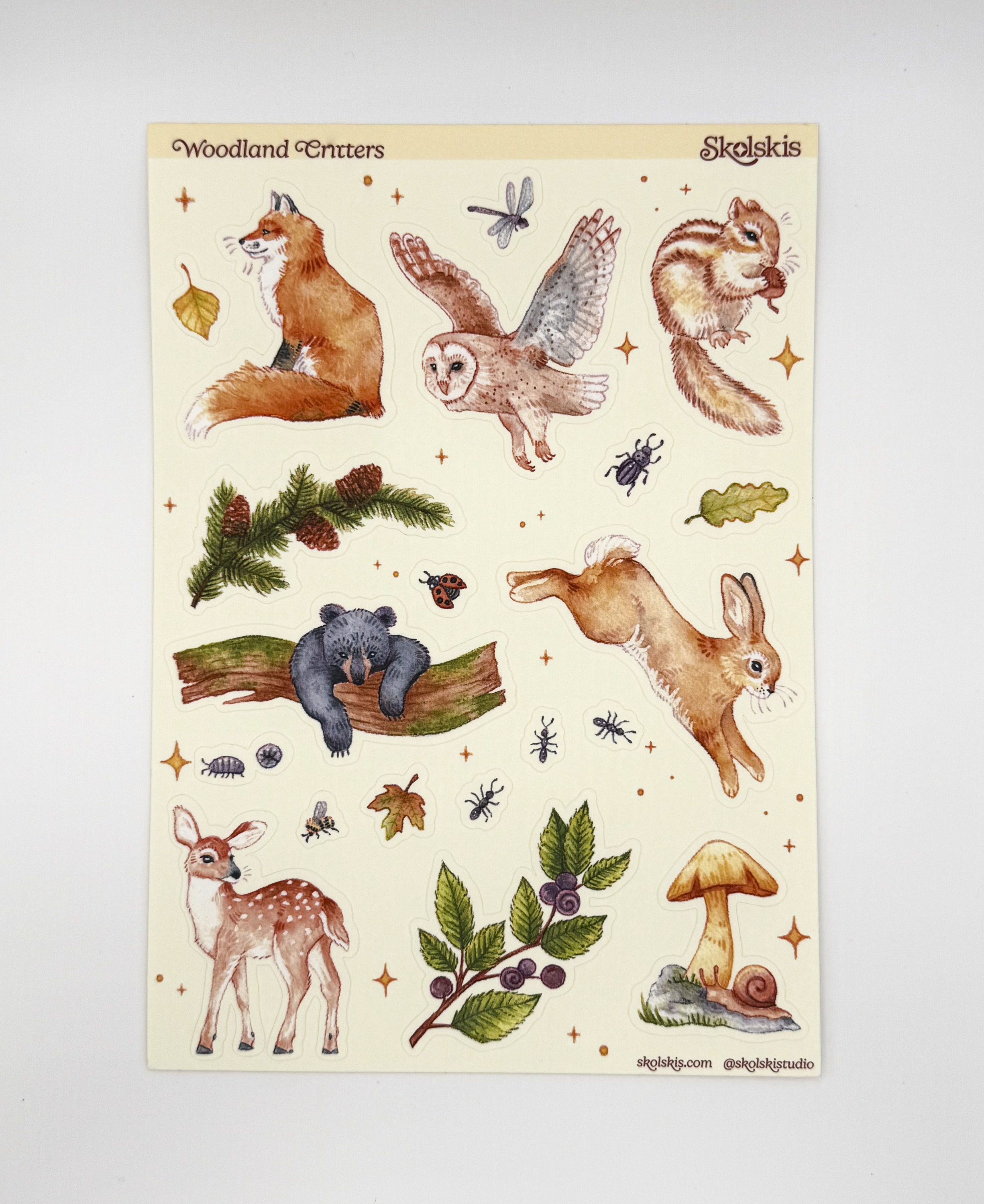 Parade of Color-01.png