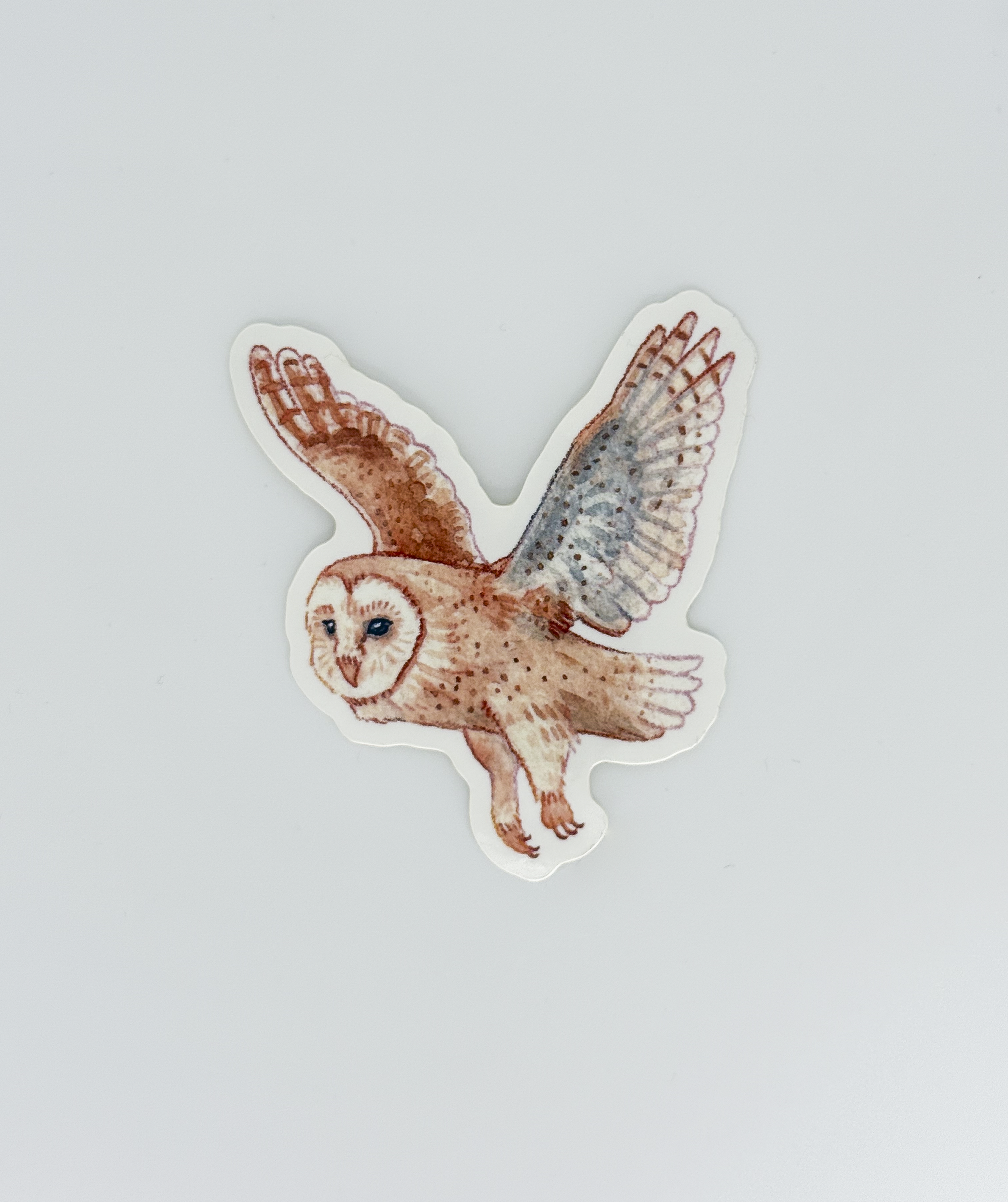 Parade of Color-23.png