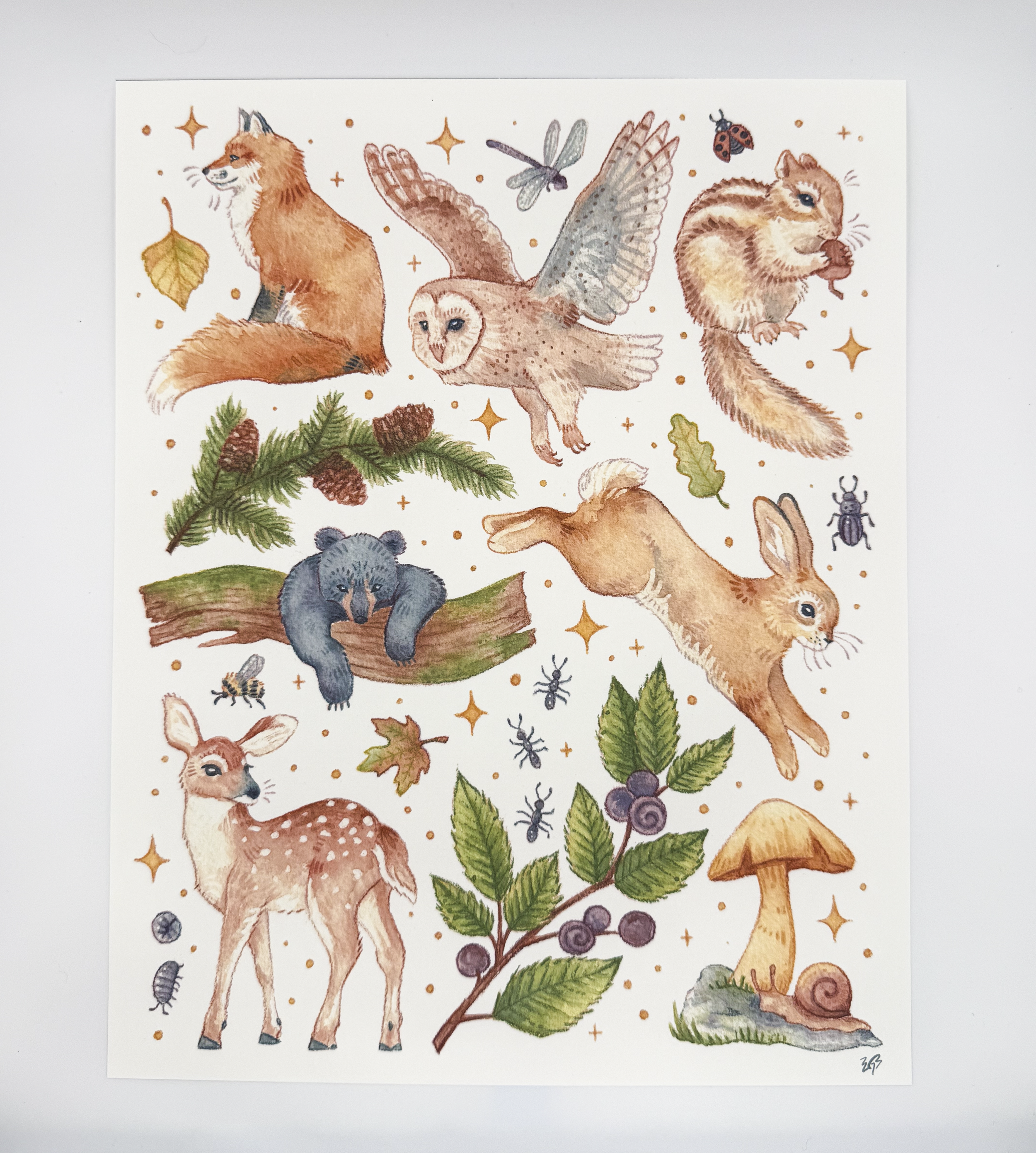 Parade of Color-19.png