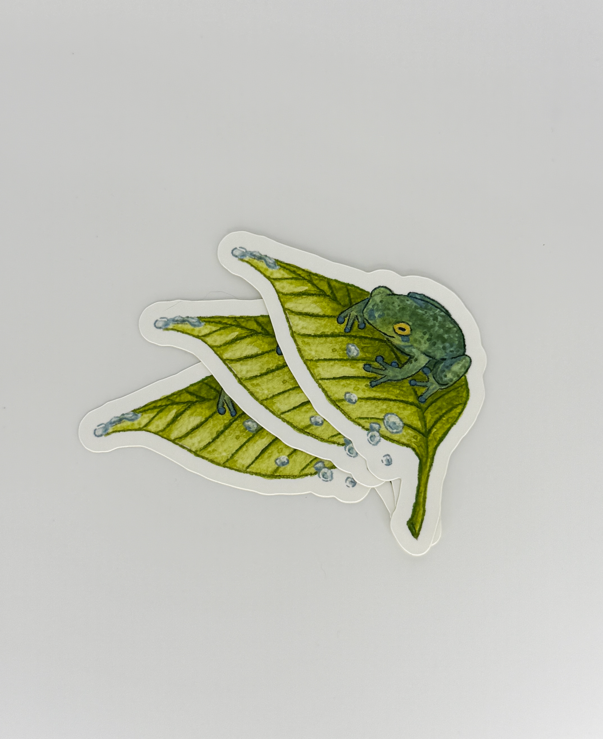 Parade of Color-26.png