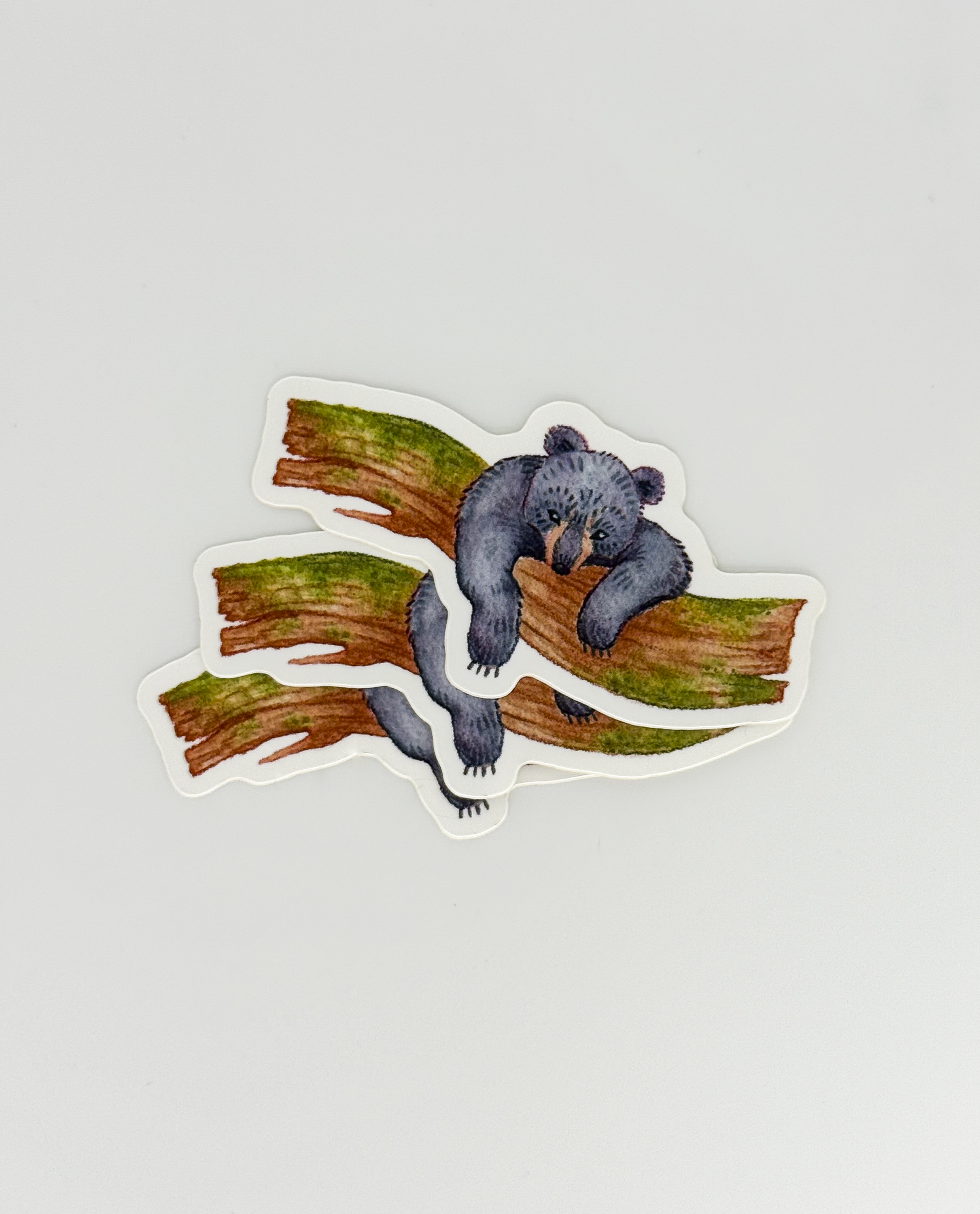 Parade of Color-30.png