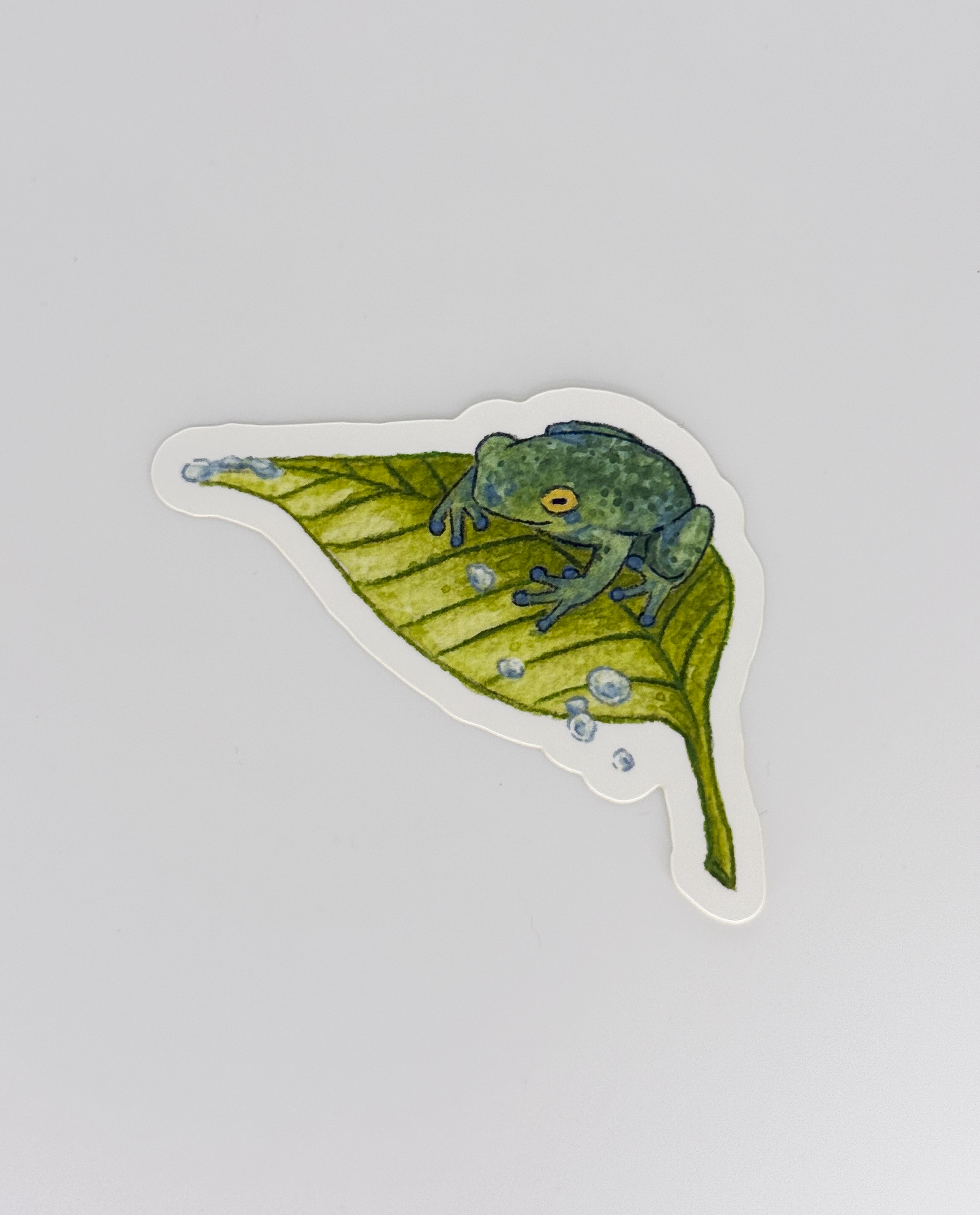 Parade of Color-25.png