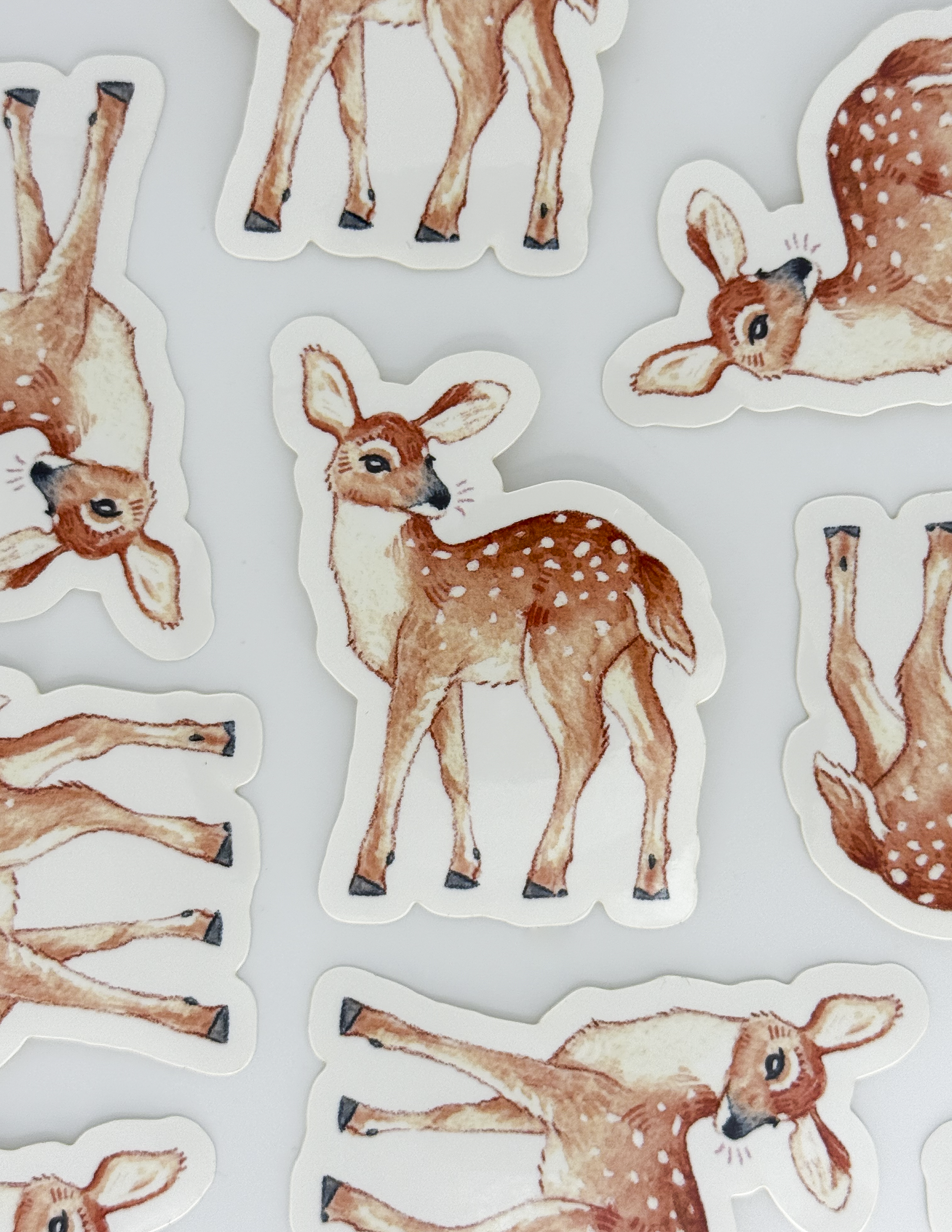 Parade of Color-21.png