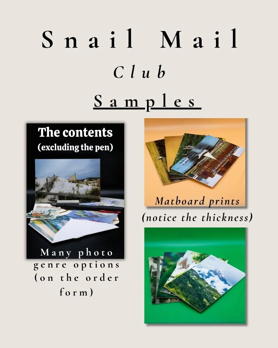 Snail Mail (4).jpg