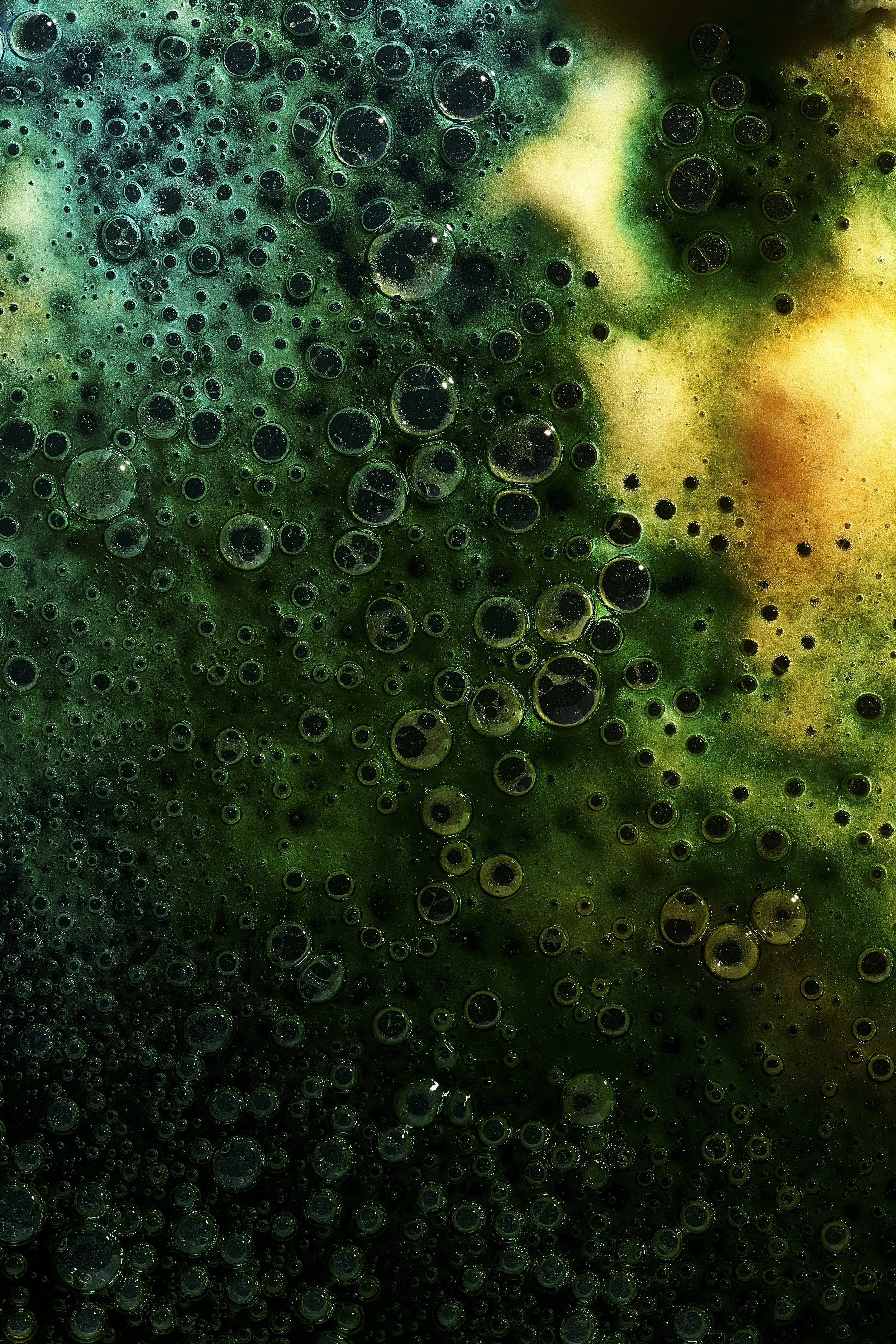 P1_Ward_Michael_Progress2_8.jpg