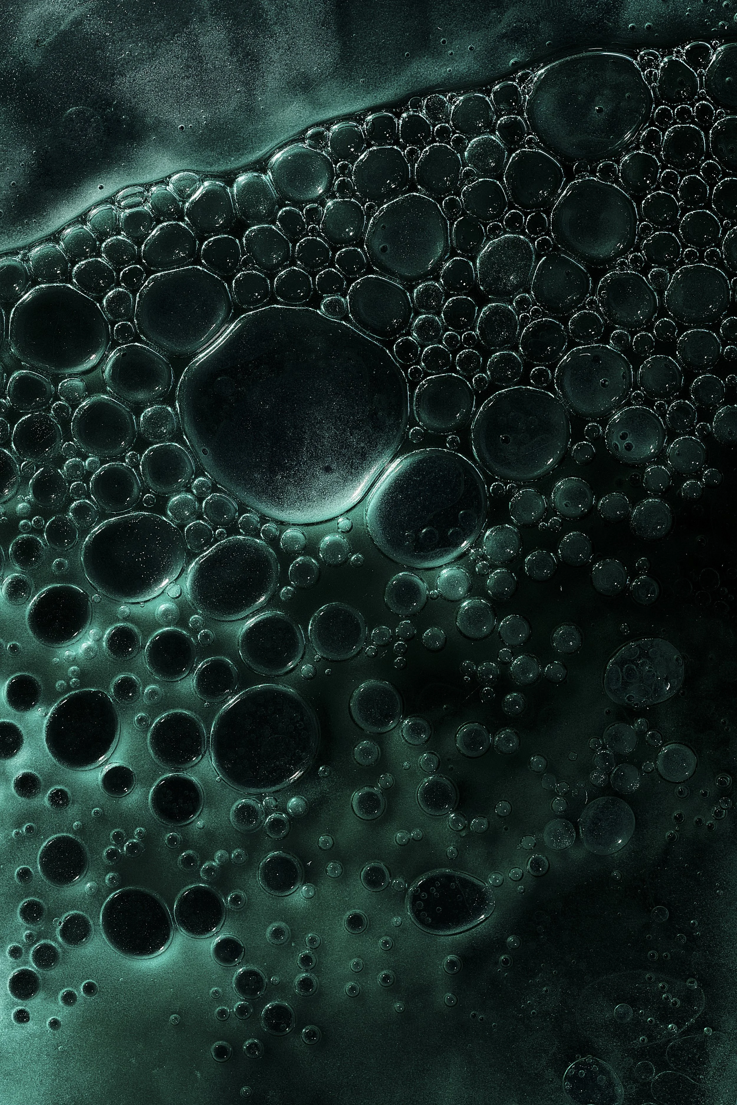 P1_Ward_Michael_Progress2_1.jpg